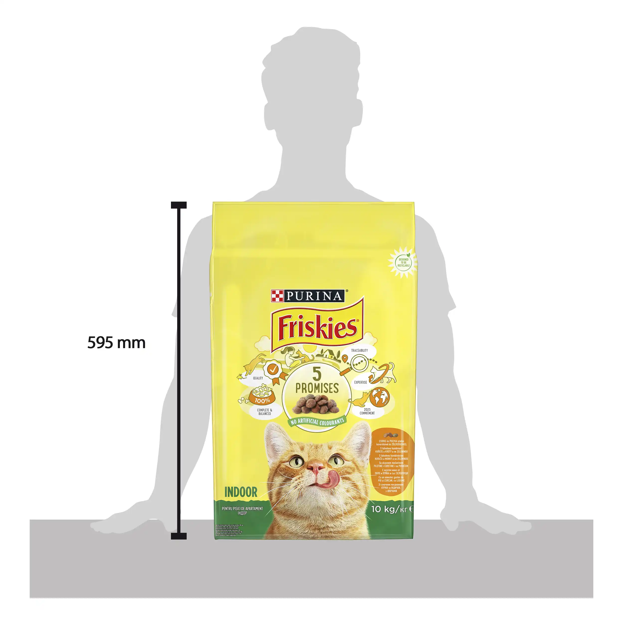 Purina Friskies Indoor cu Pui și Legume Pisici 10kg