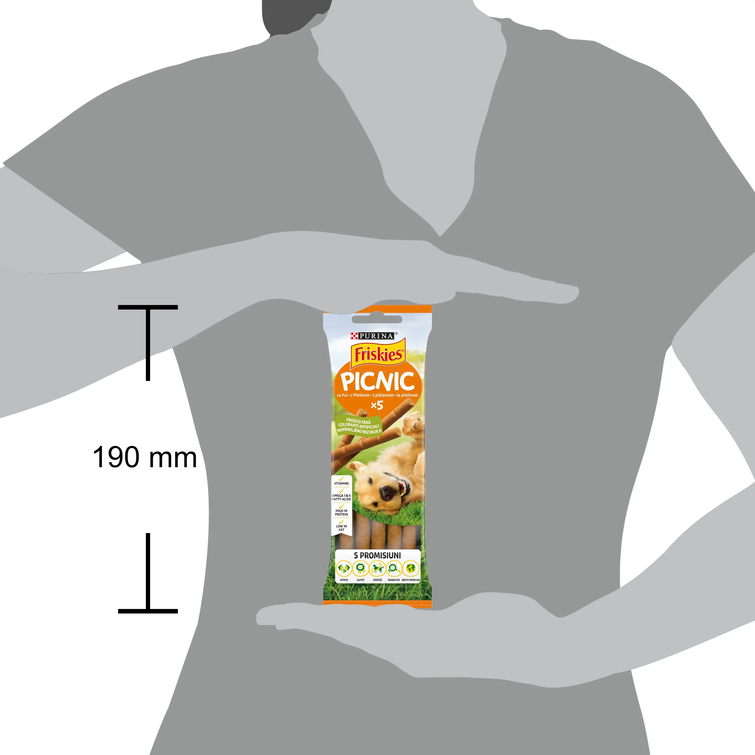 Purina Friskies Picnic cu Pui Câini 42g