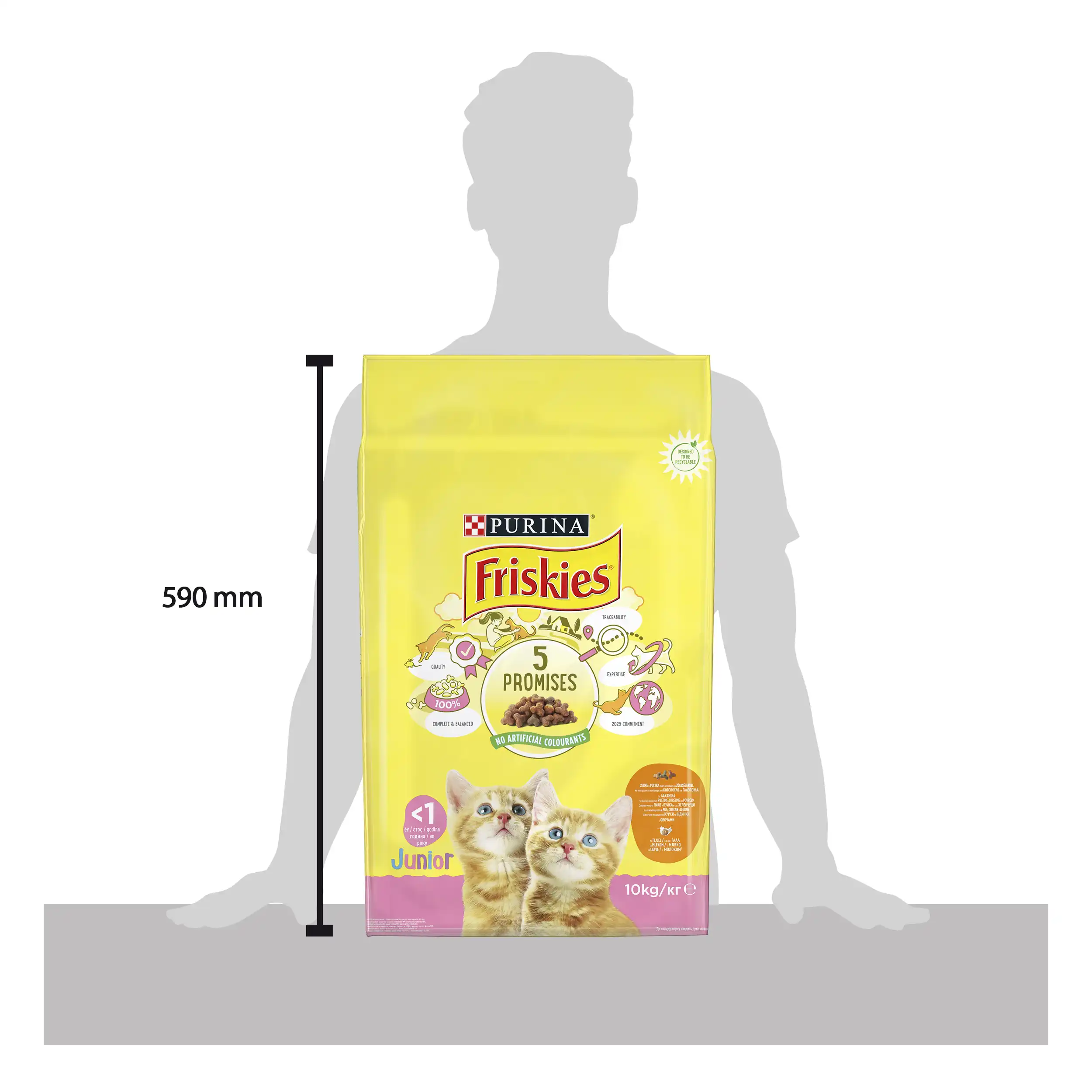 Purina Friskies Junior Pisici 10kg