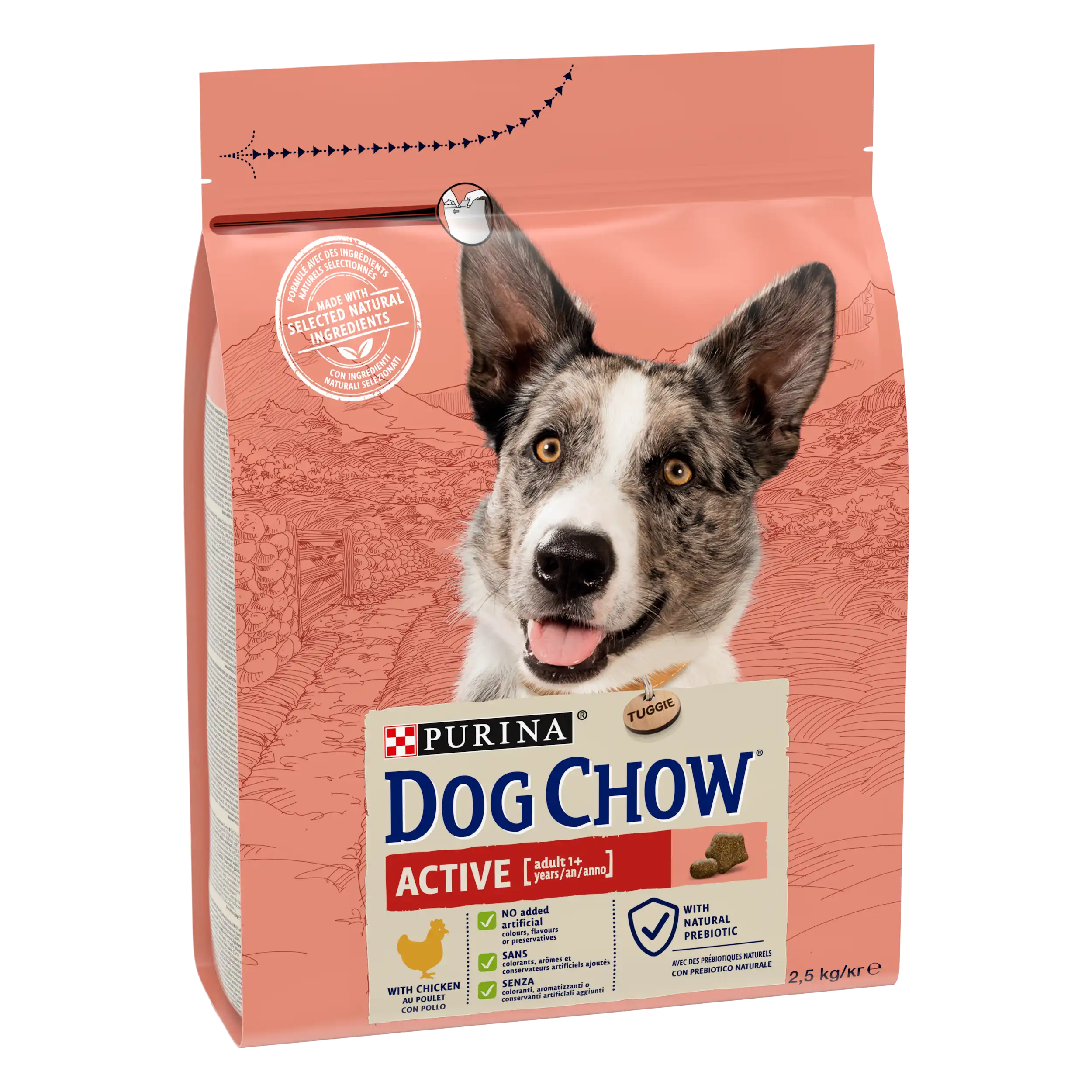 Purina Dog Chow Active cu Pui Câini 2.5kg