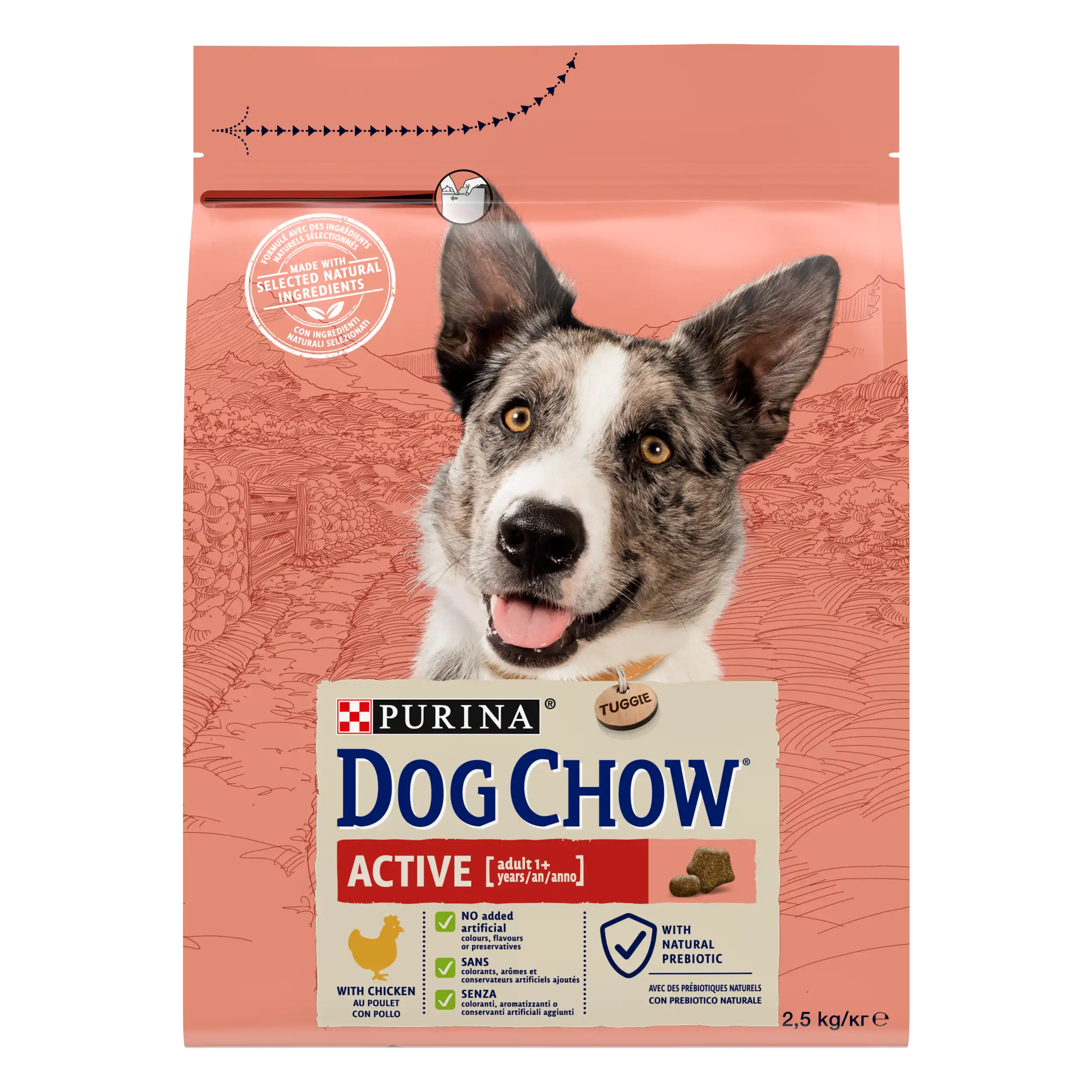 Purina Dog Chow Active cu Pui Câini 2.5kg