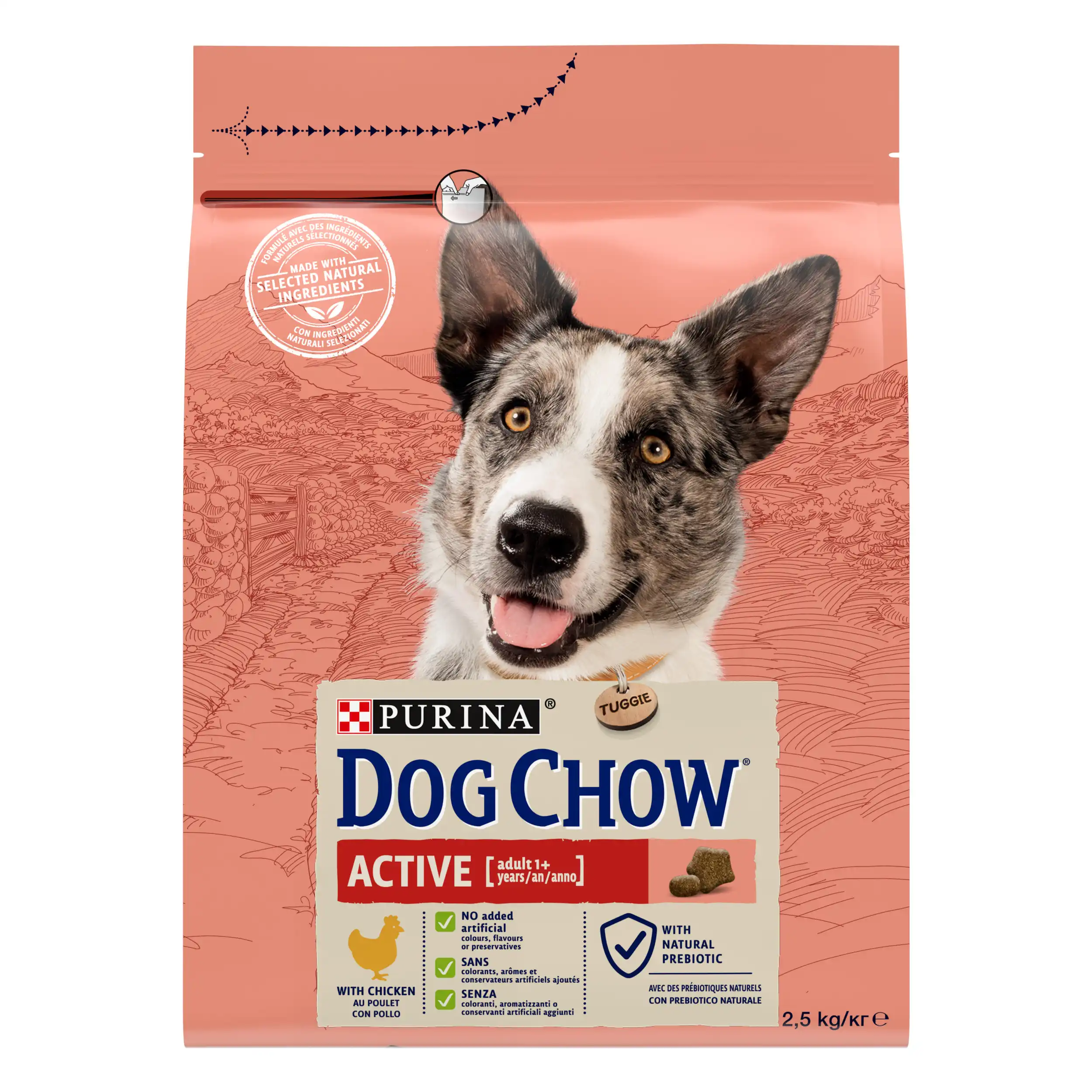 Purina Dog Chow Active cu Pui Câini 2.5kg