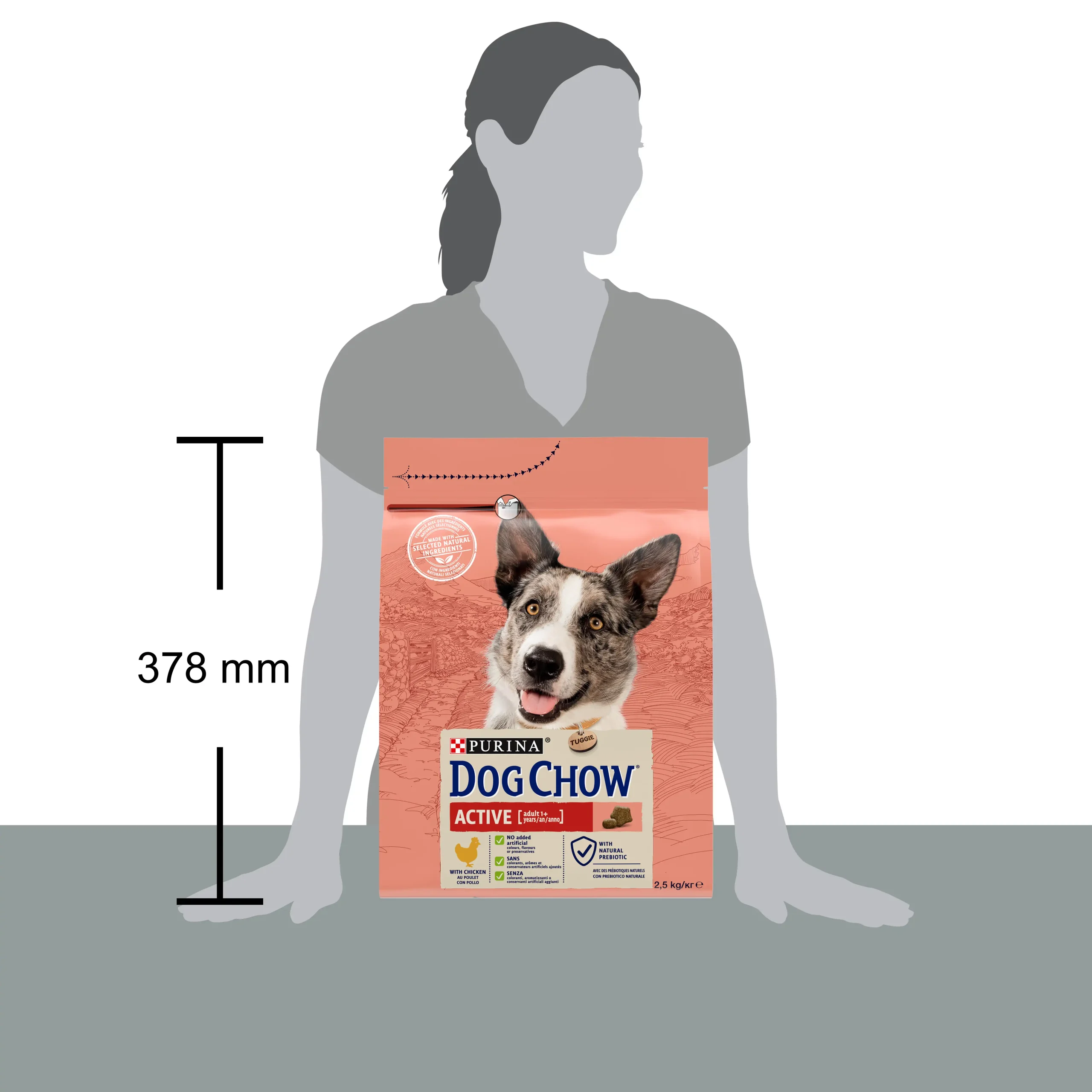 Purina Dog Chow Active cu Pui Câini 2.5kg