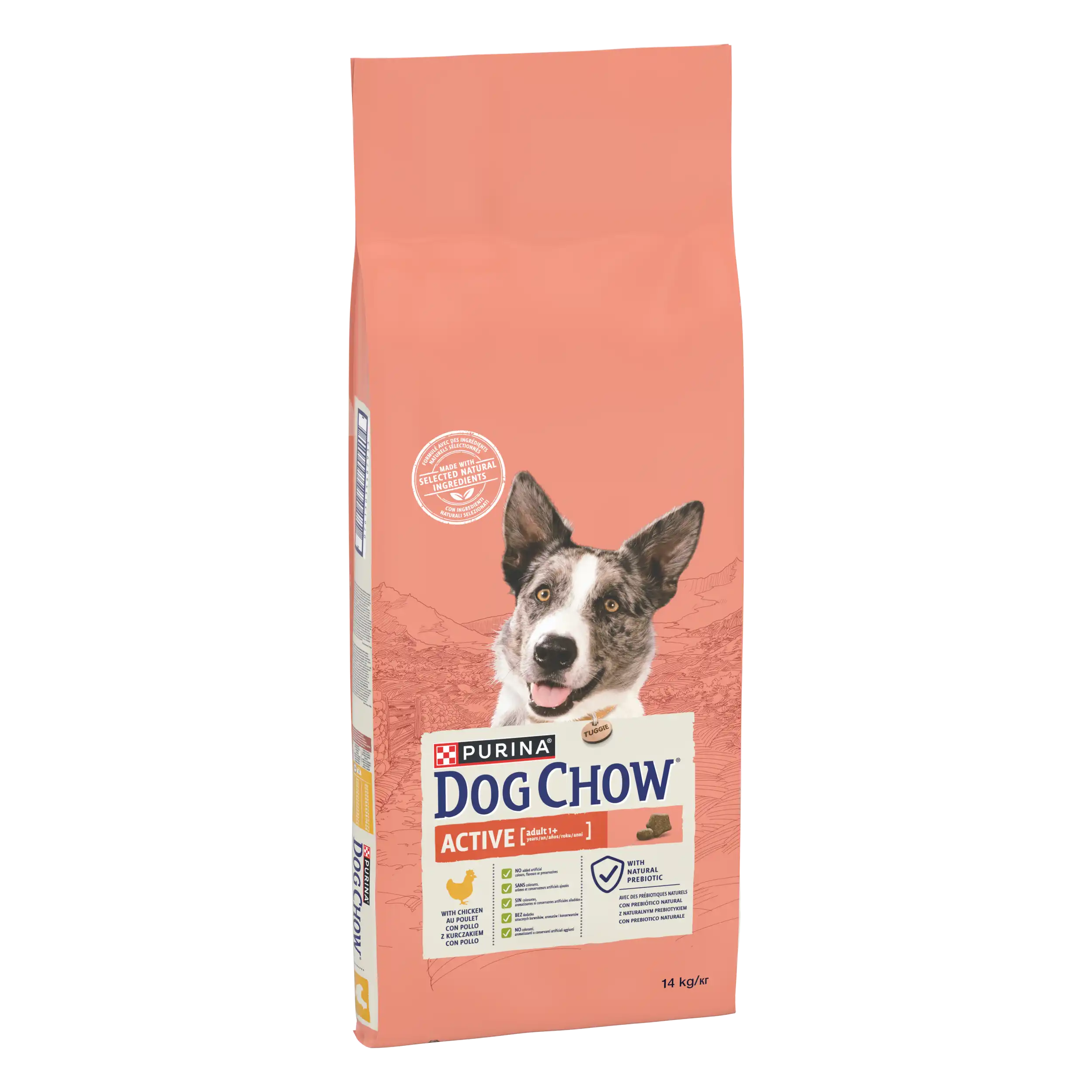 Purina Dog Chow Active cu Pui Câini 14kg