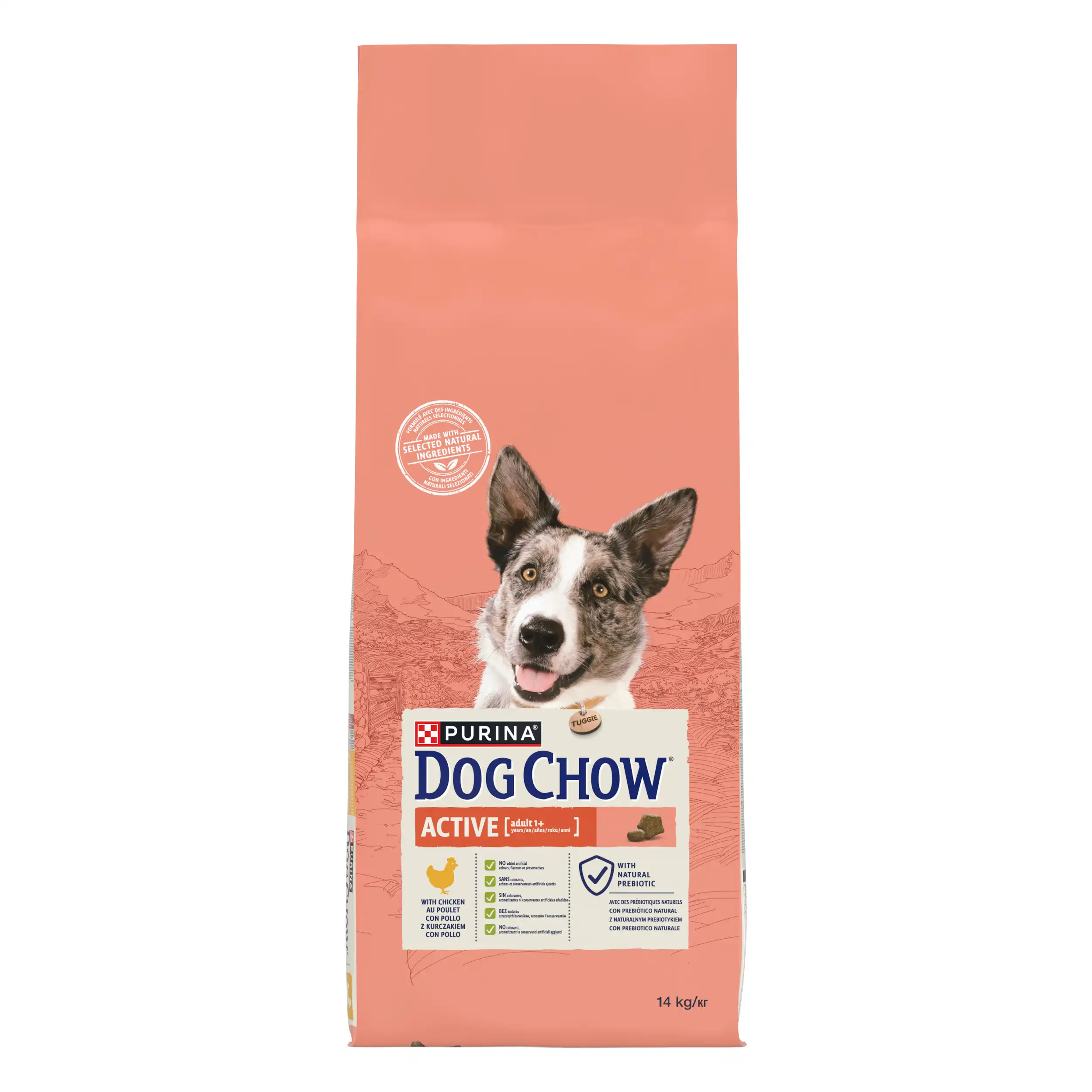 Purina Dog Chow Active cu Pui Câini 14kg