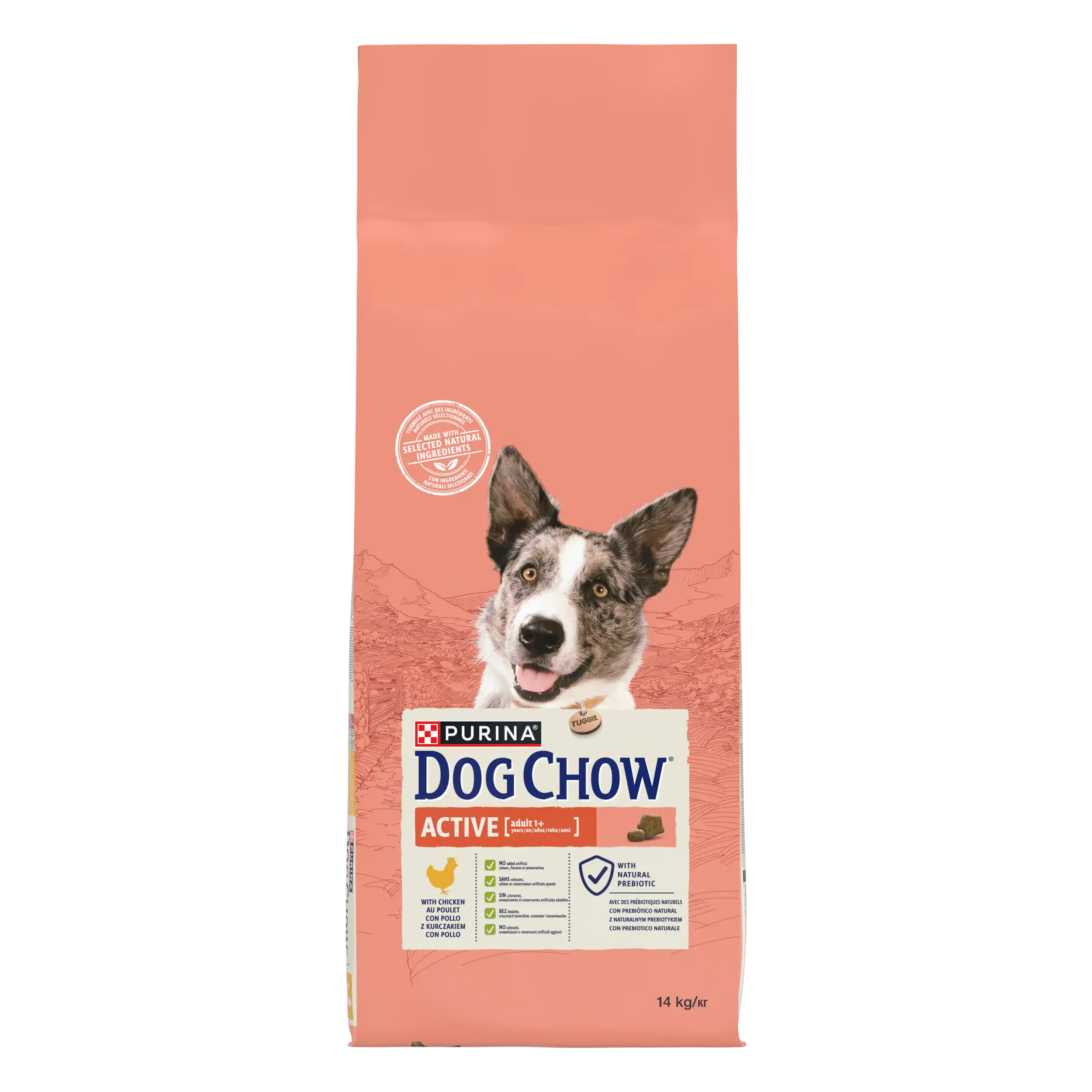Purina Dog Chow Active cu Pui Câini 14kg