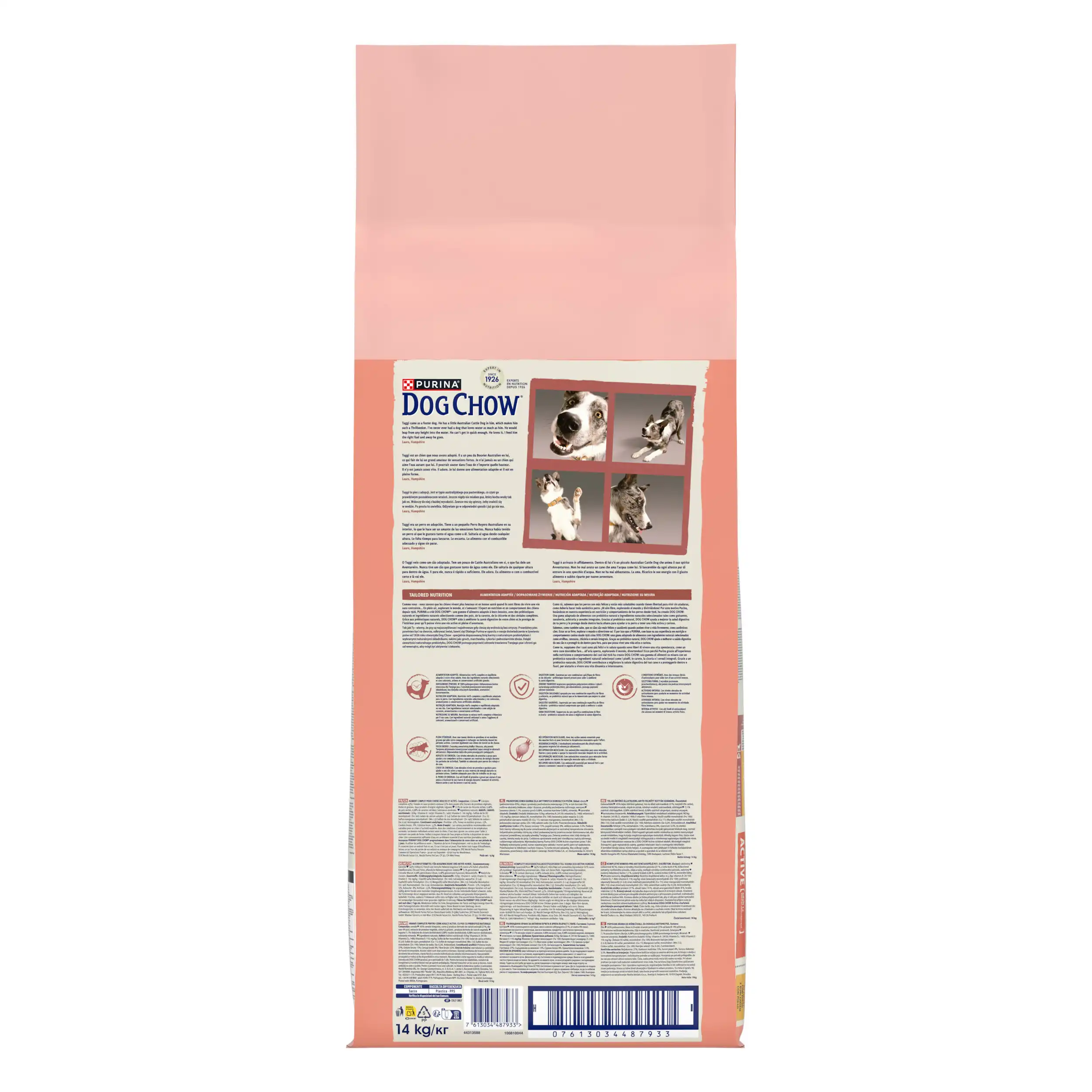 Purina Dog Chow Active cu Pui Câini 14kg