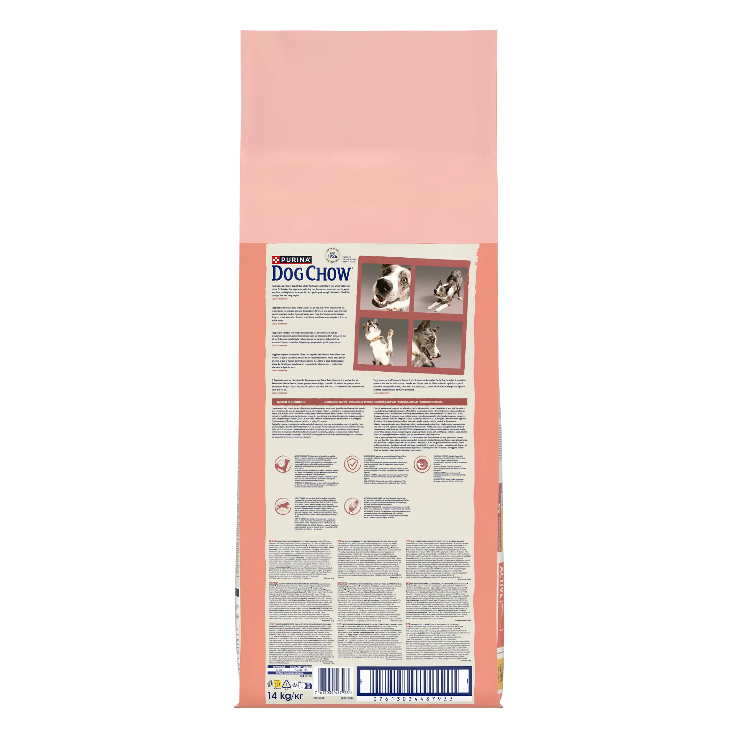 Purina Dog Chow Active cu Pui Câini 14kg