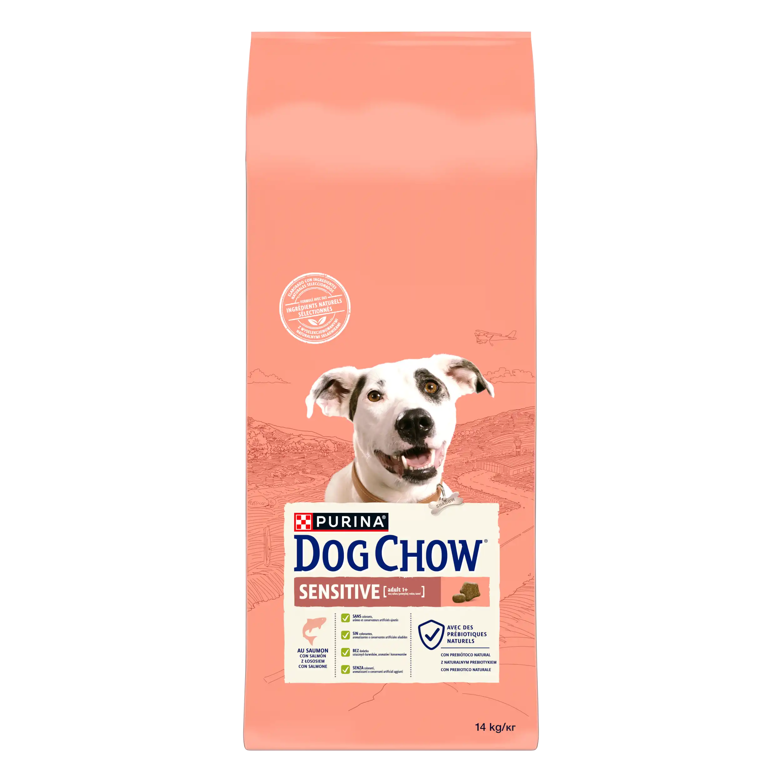 Purina Dog Chow Sensitive cu Somon Câini 14kg