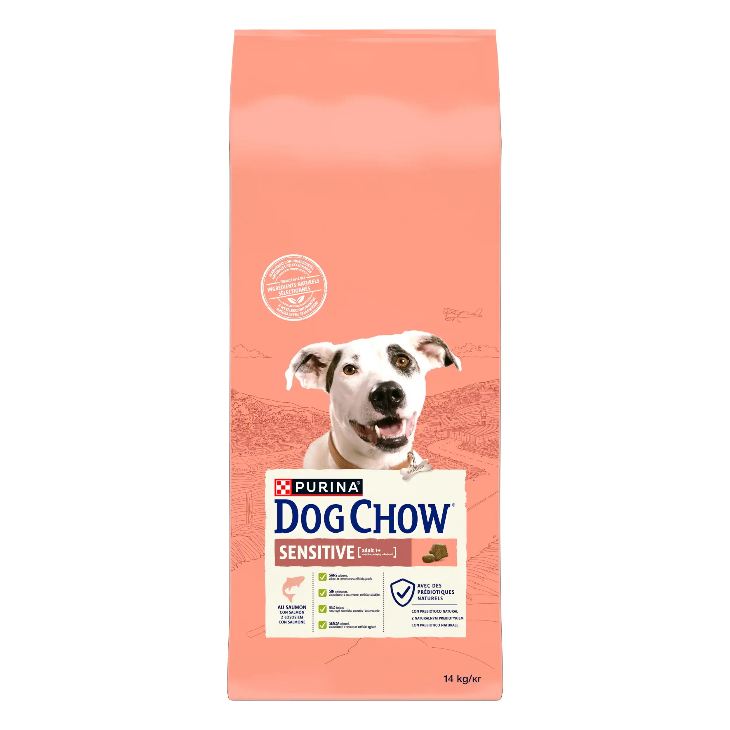 Purina Dog Chow Sensitive cu Somon Câini 14kg