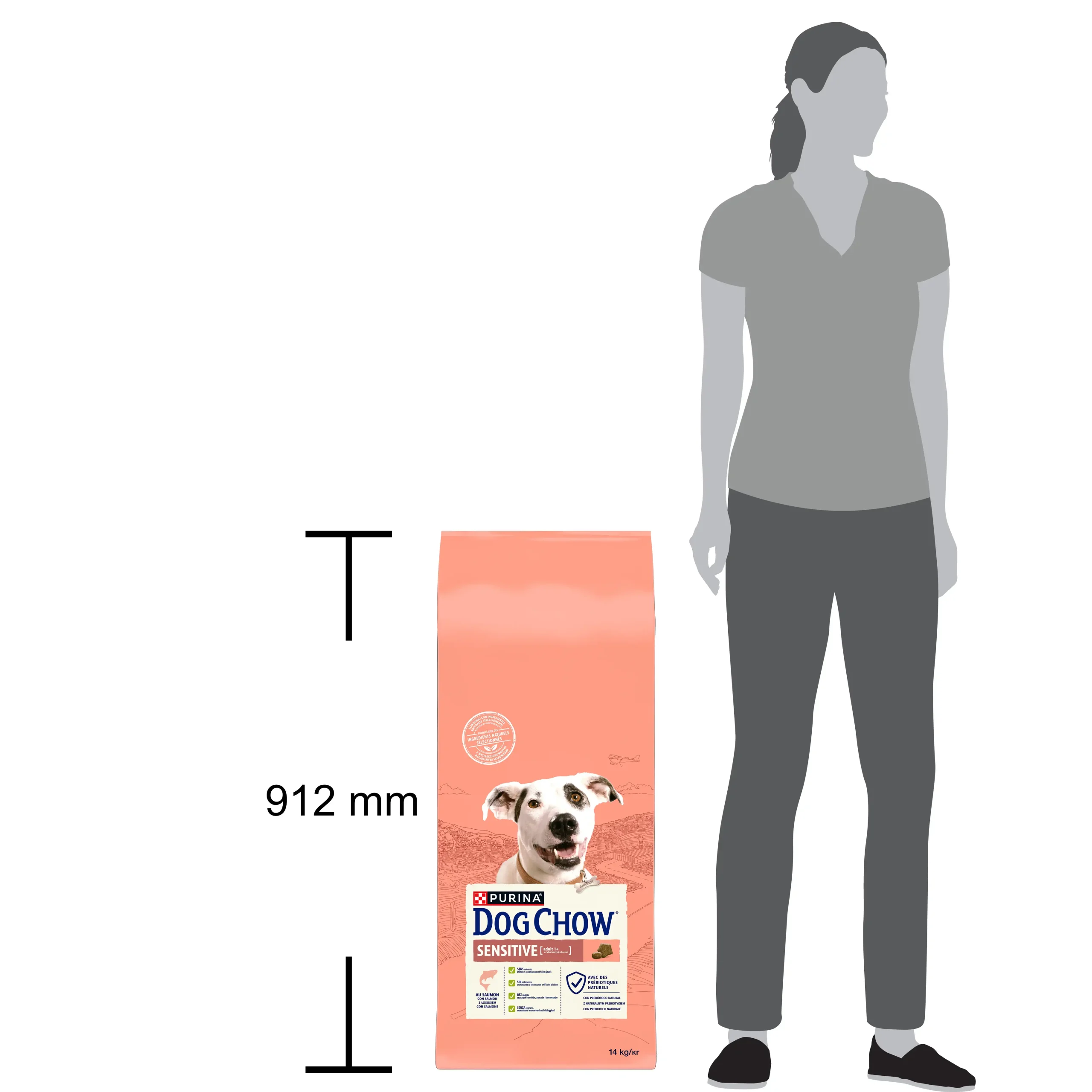 Purina Dog Chow Sensitive cu Somon Câini 14kg
