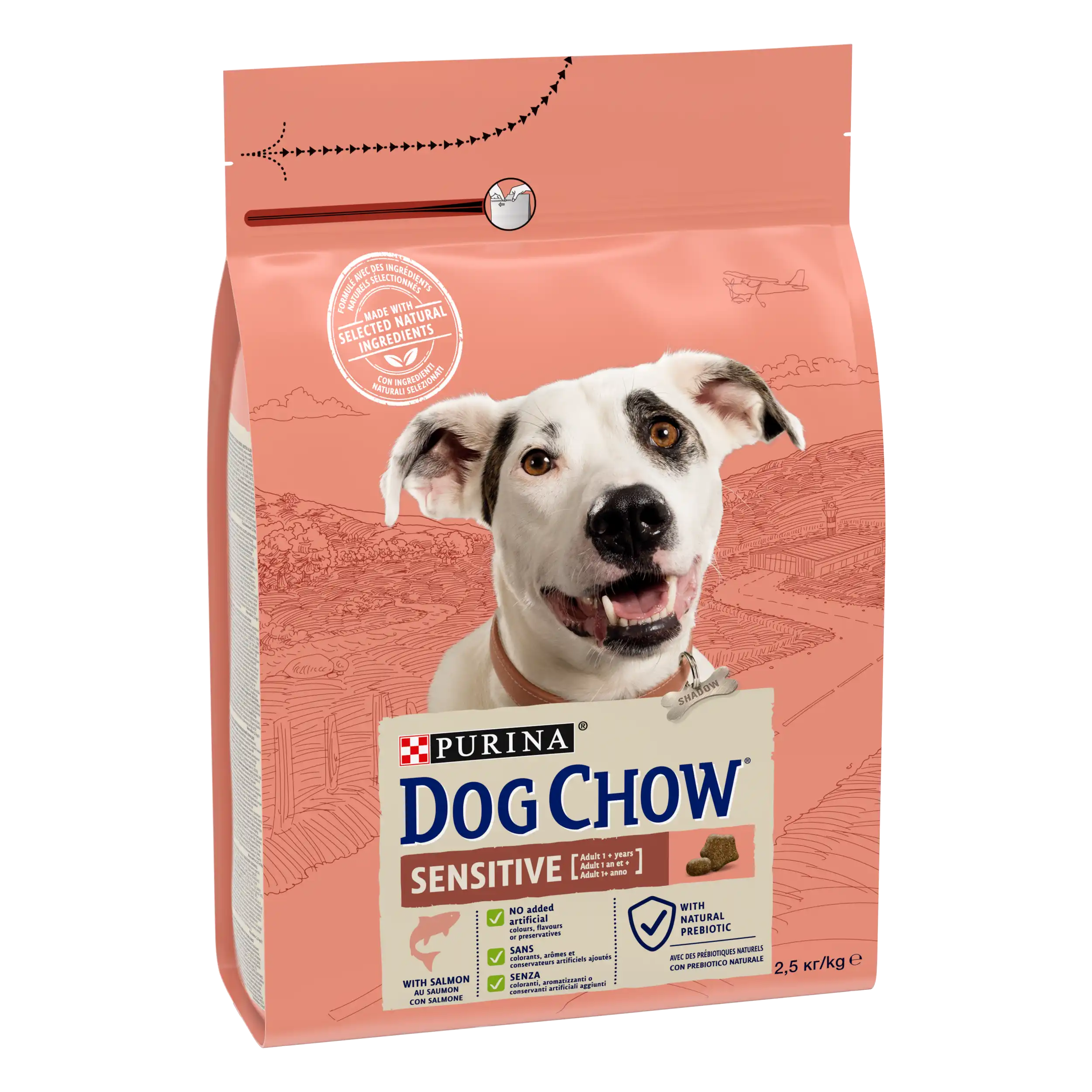 Purina Dog Chow Sensitive cu Somon Câini 2.5kg