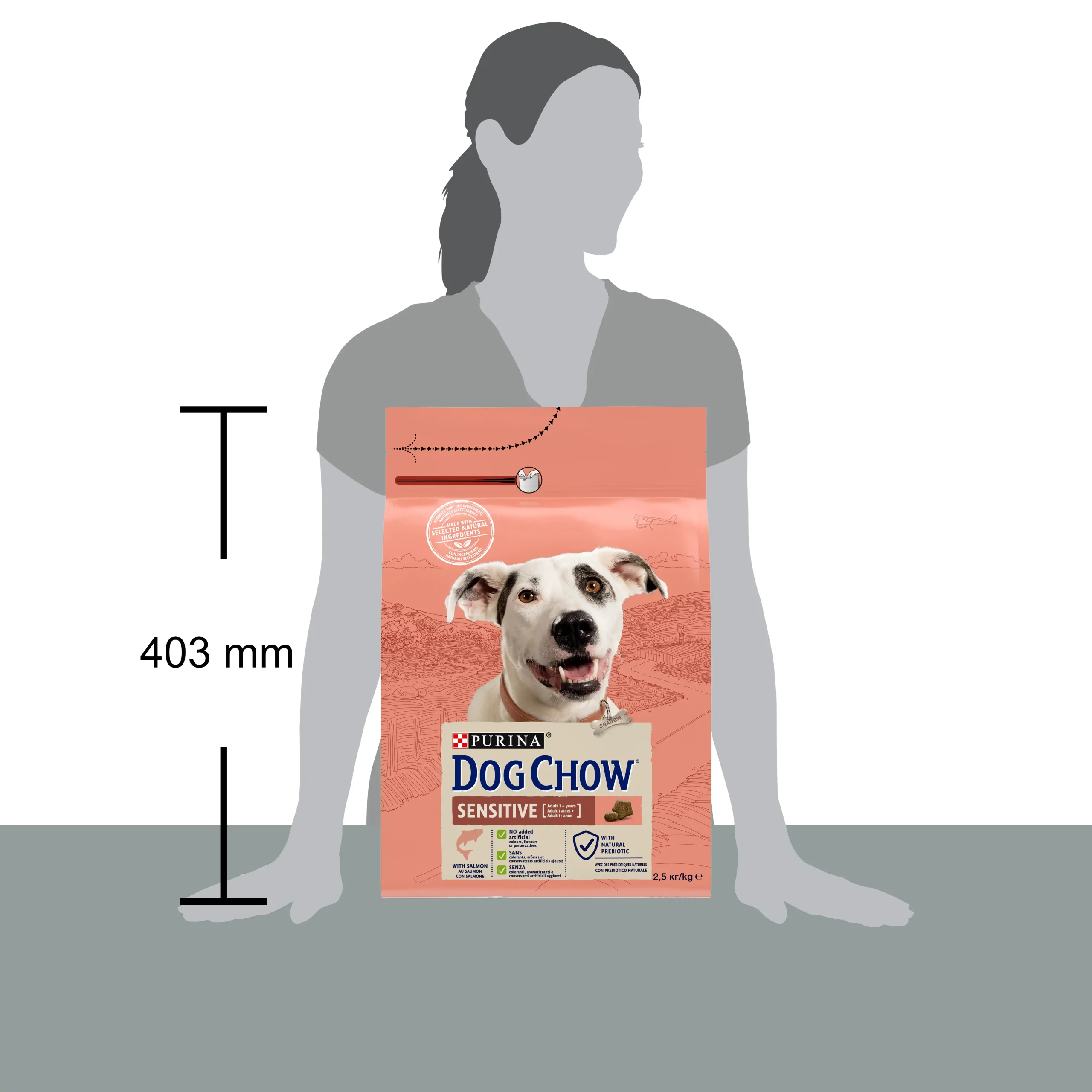Purina Dog Chow Sensitive cu Somon Câini 2.5kg