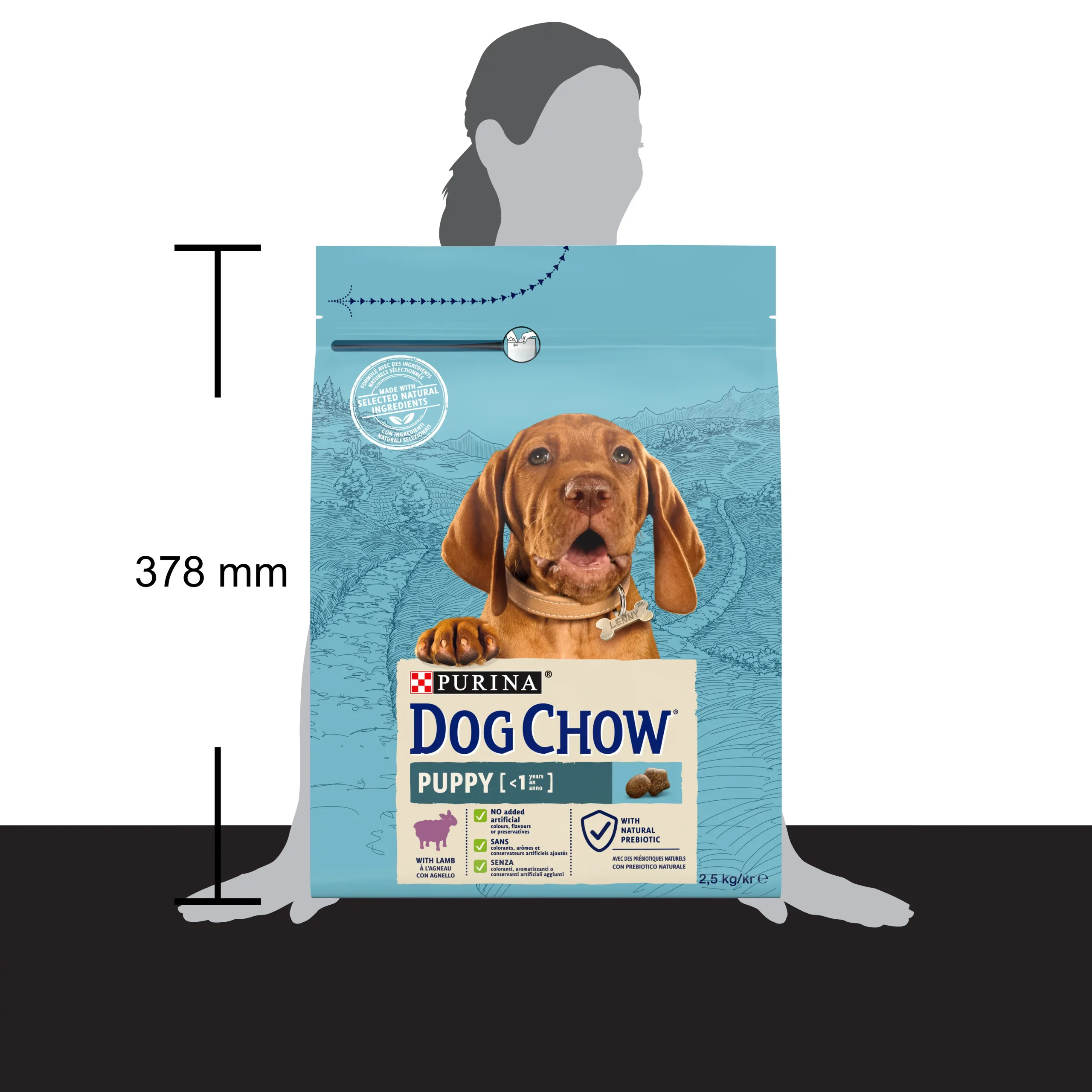 Purina Dog Chow Puppy cu Miel Câini 2.5kg