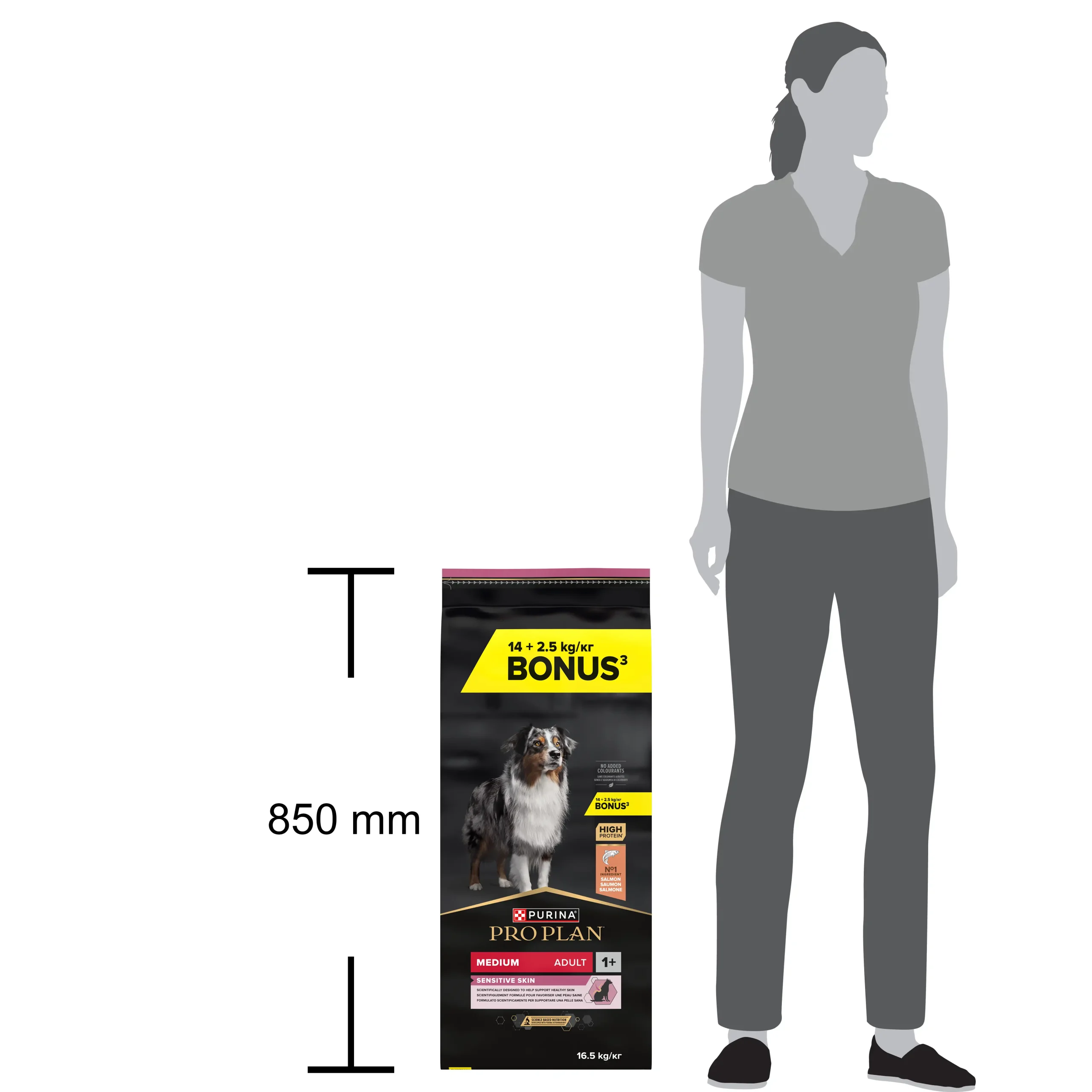 Purina Pro Plan Talie Medie Adult Piele Sensibilă cu Somon 14+ Câini 16.5kg