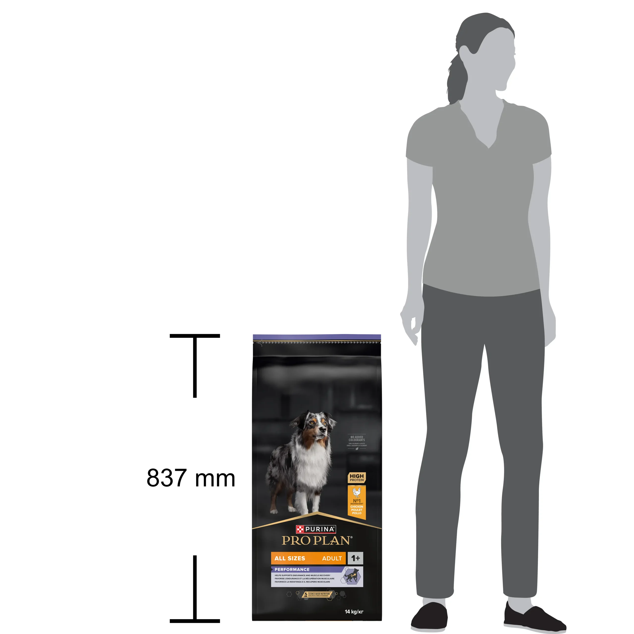 Purina Pro Plan Adult Performance Toate Taliile Pui Câini 14kg