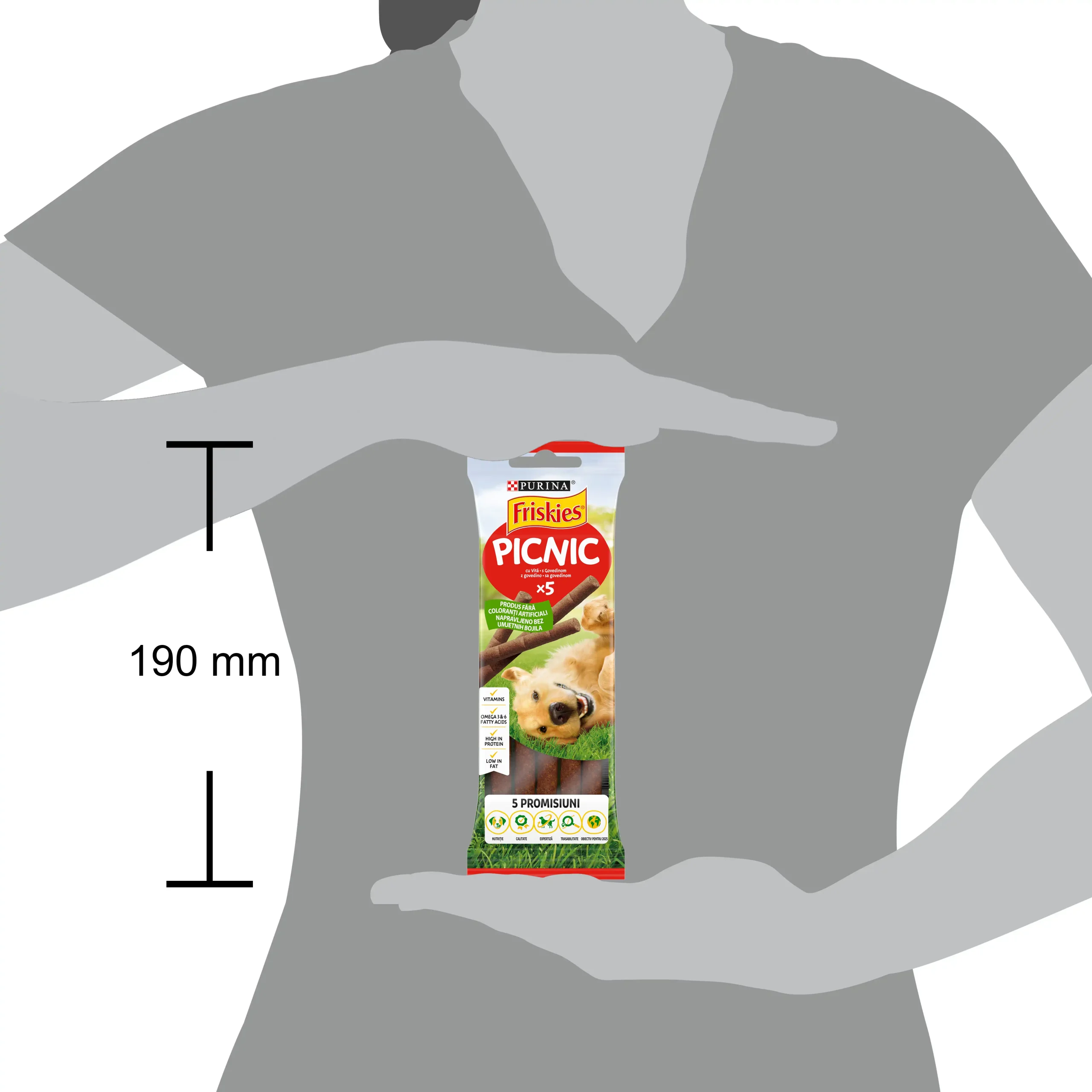 Purina Friskies Picnic cu Vită Câini 42g