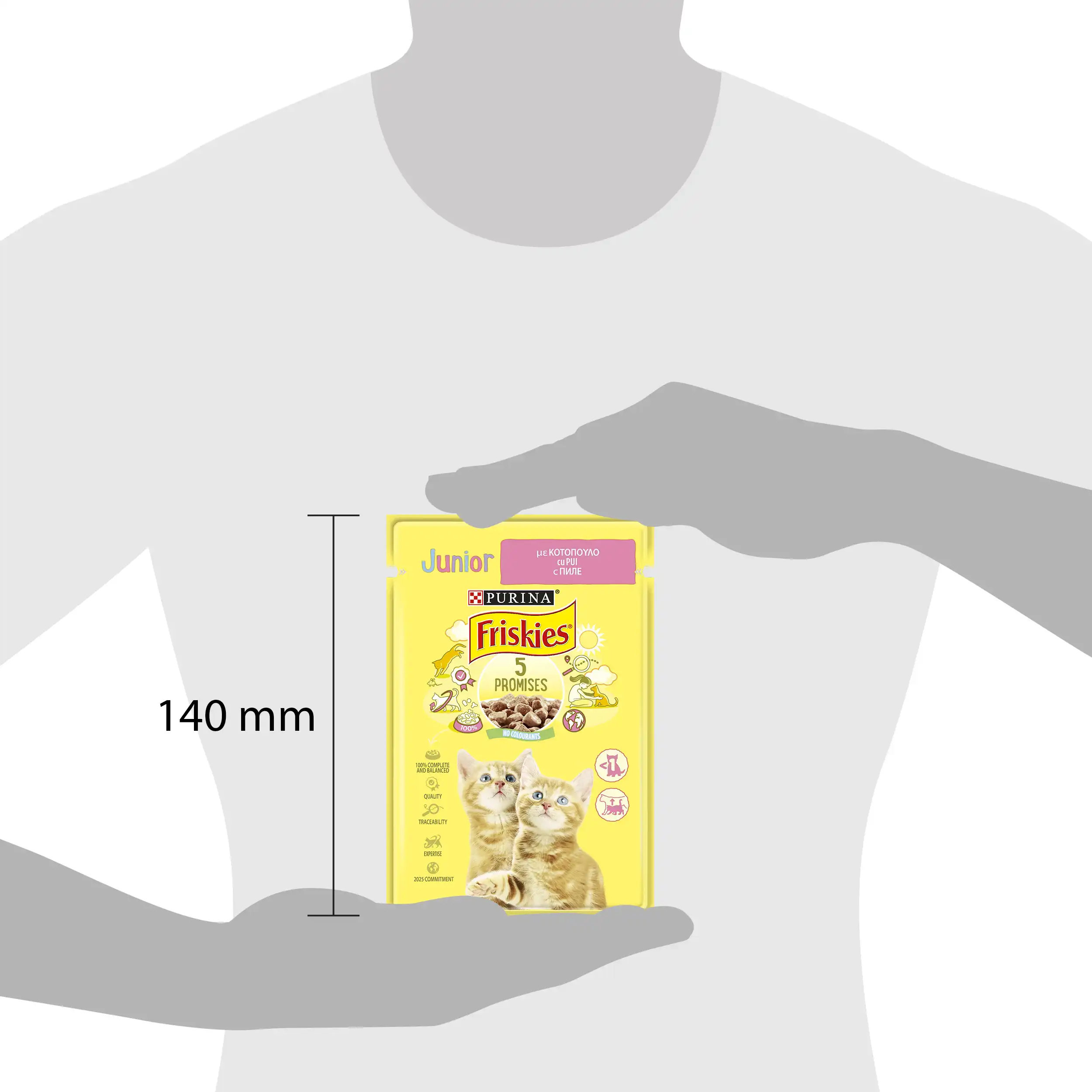 Purina Friskies Junior cu Pui în Sos Pisici 85g