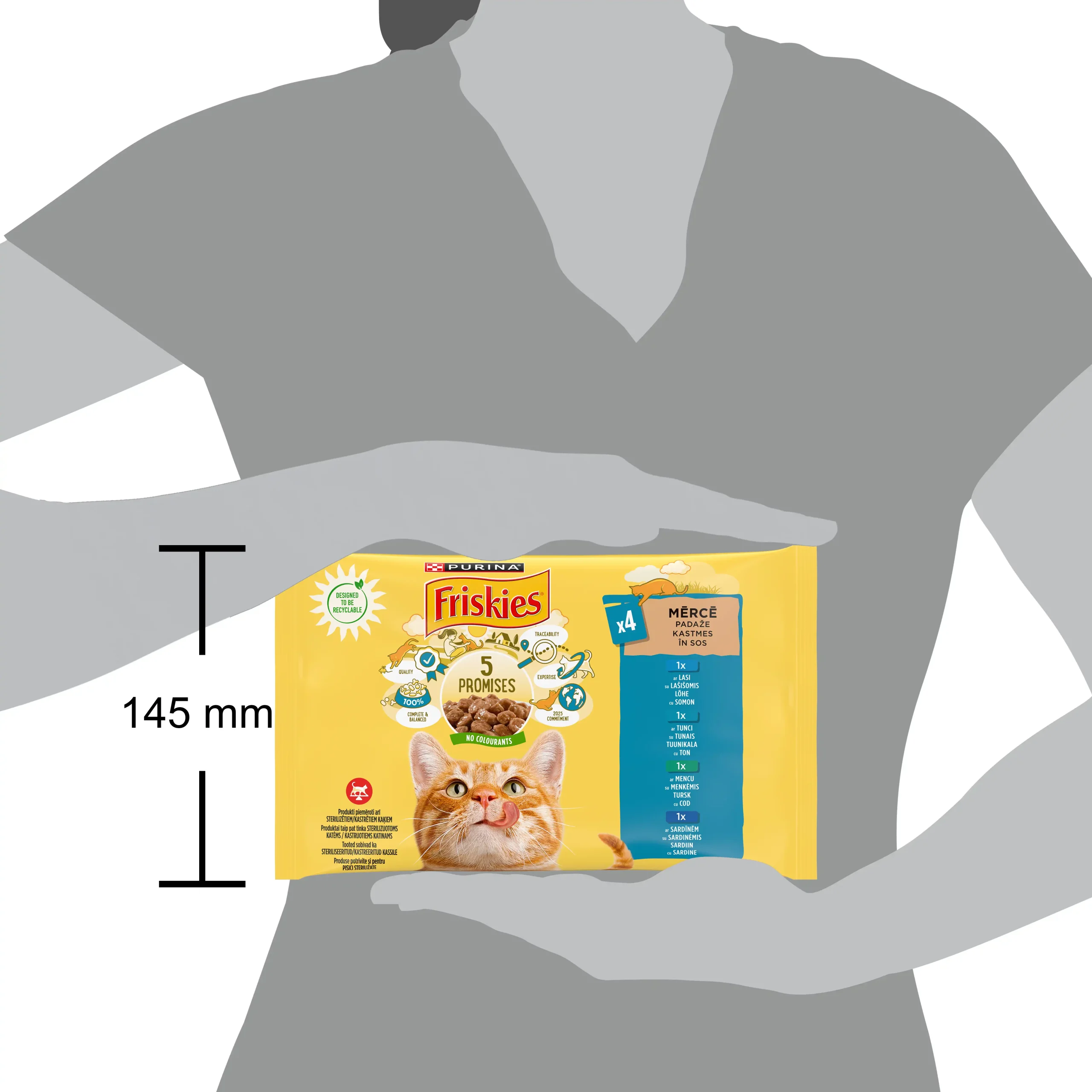 Purina Friskies Somon Pisici 340g