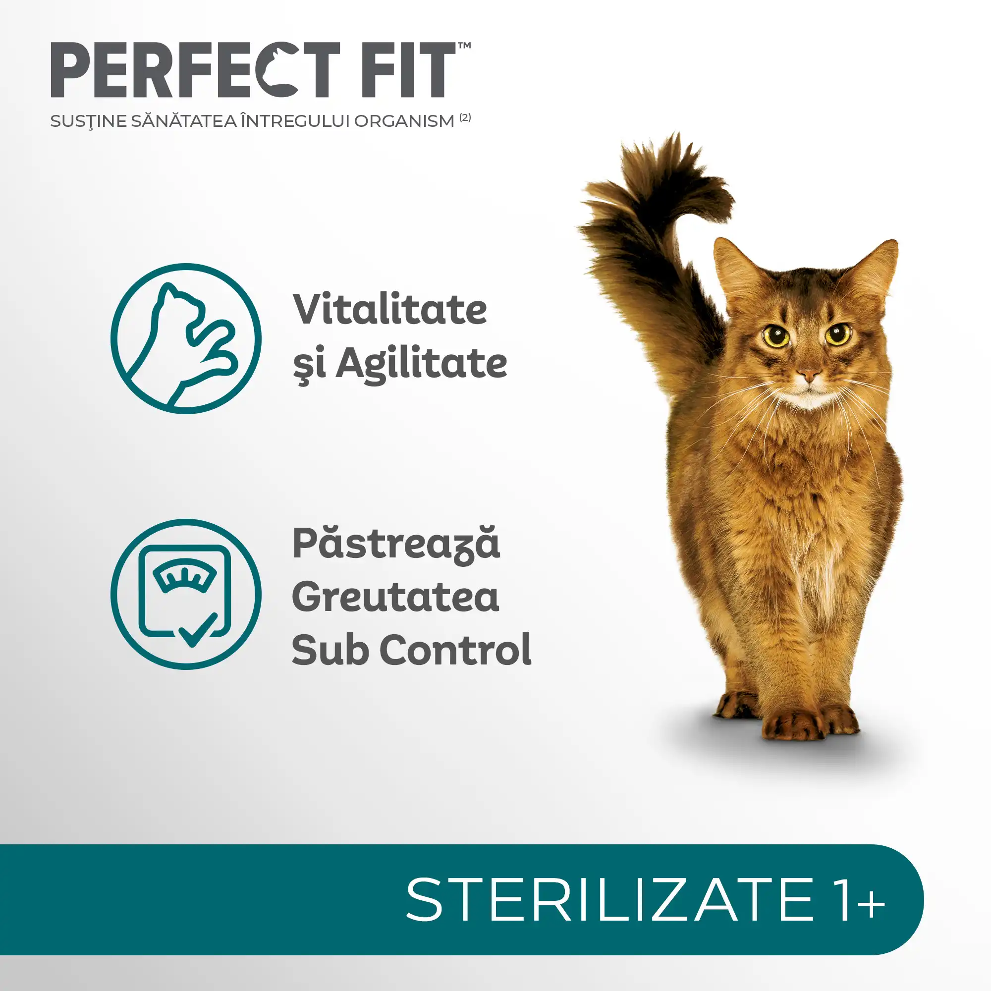 Perfect Fit Hrană Uscată Pui Pisici Sterilizate 750g - imagine 7