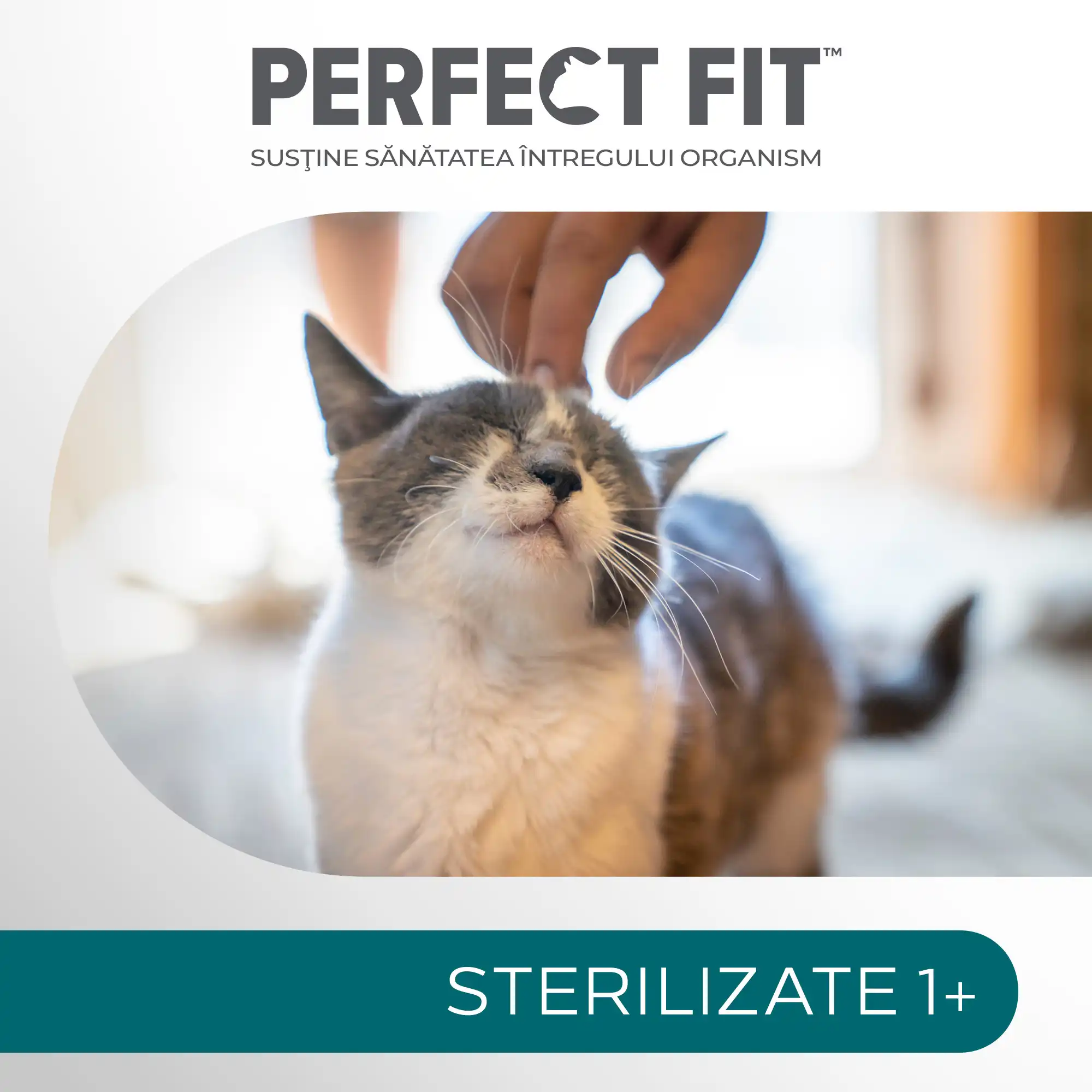 Perfect Fit Hrană Uscată Pui Pisici Sterilizate 750g - imagine 5