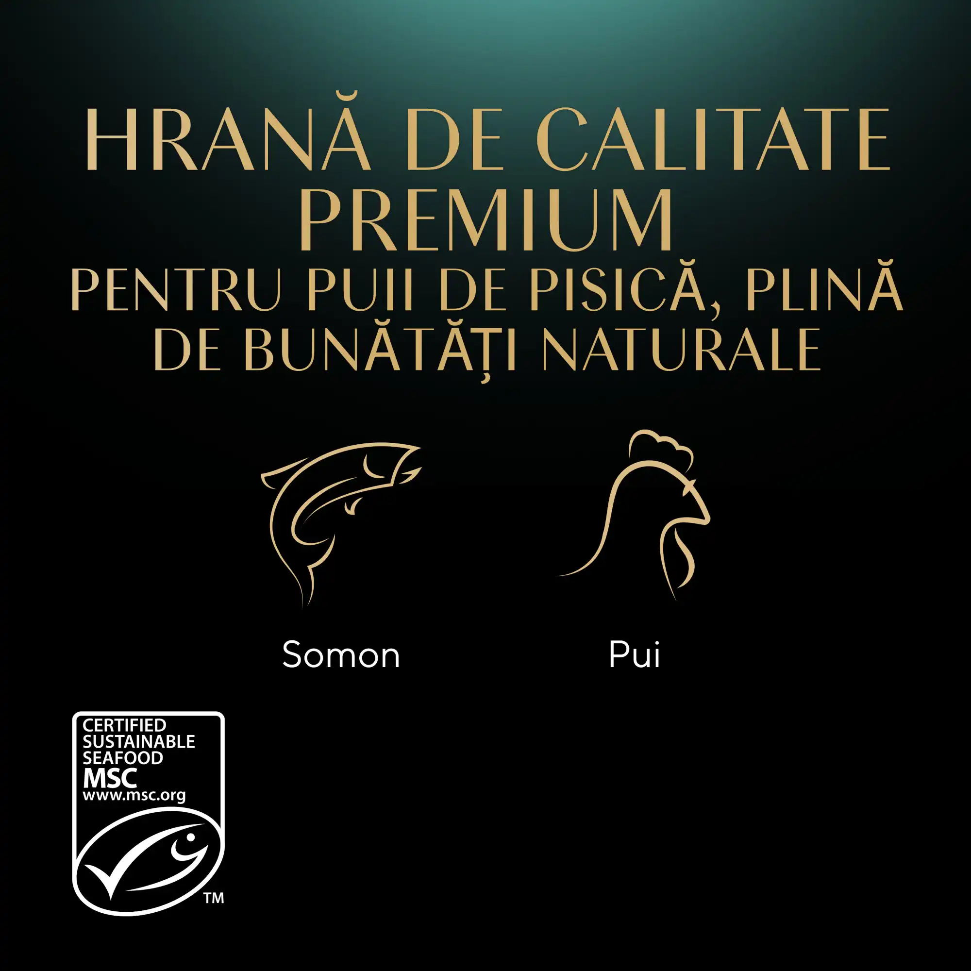 Sheba Kitten Plicuri Pisici Somon și Pui 4×85 g - imagine 8