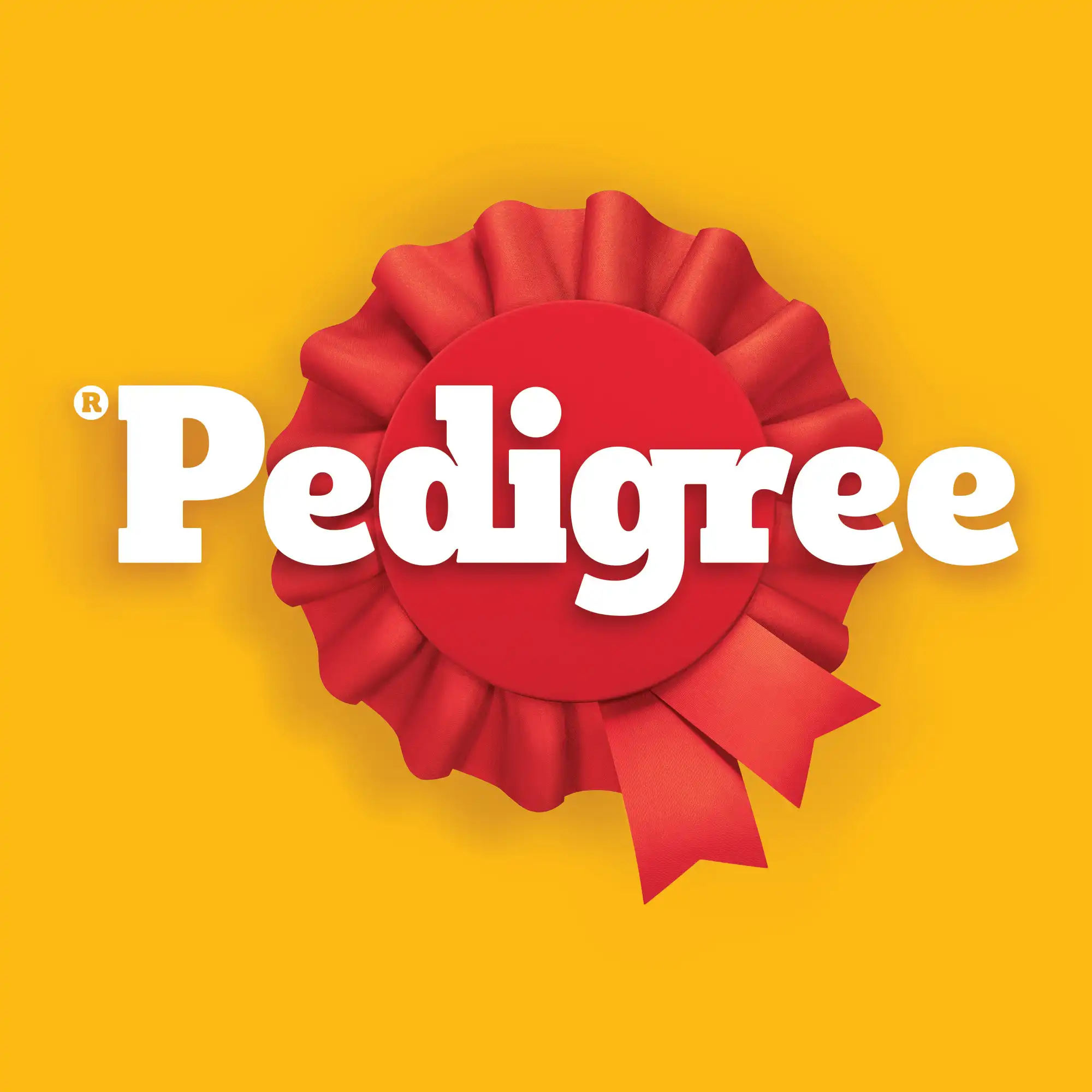 Pedigree Junior Mega Pack hrană umedă căței aspic 40 pliculete 100g