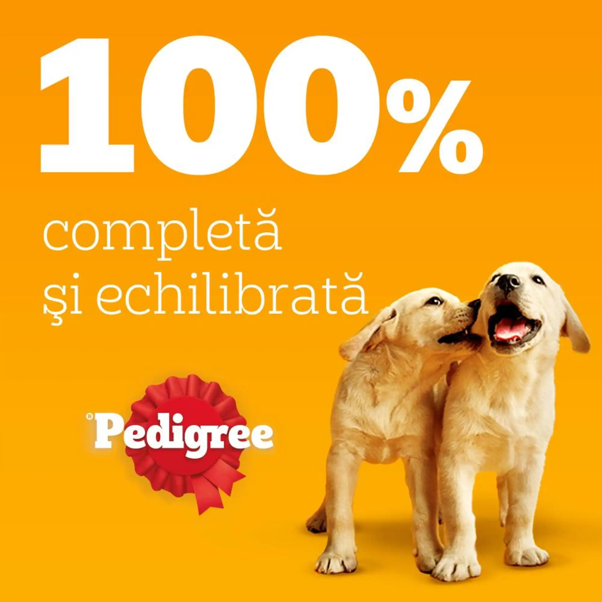 Pedigree Junior Mega Pack Aspic Căței 40×100g - imagine 6