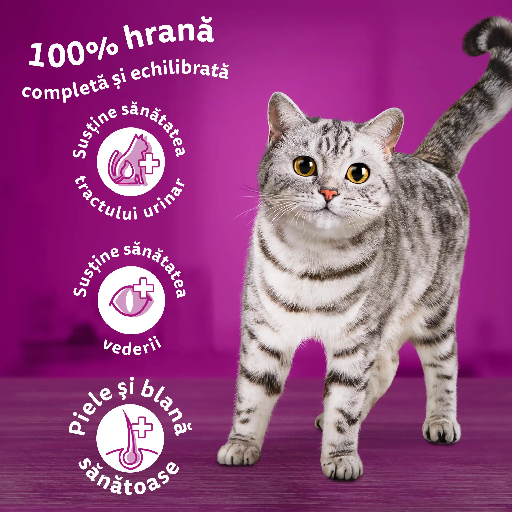 Whiskas Sterile Uscată Pui Pisici Sterilizate 1,4 kg - imagine 6