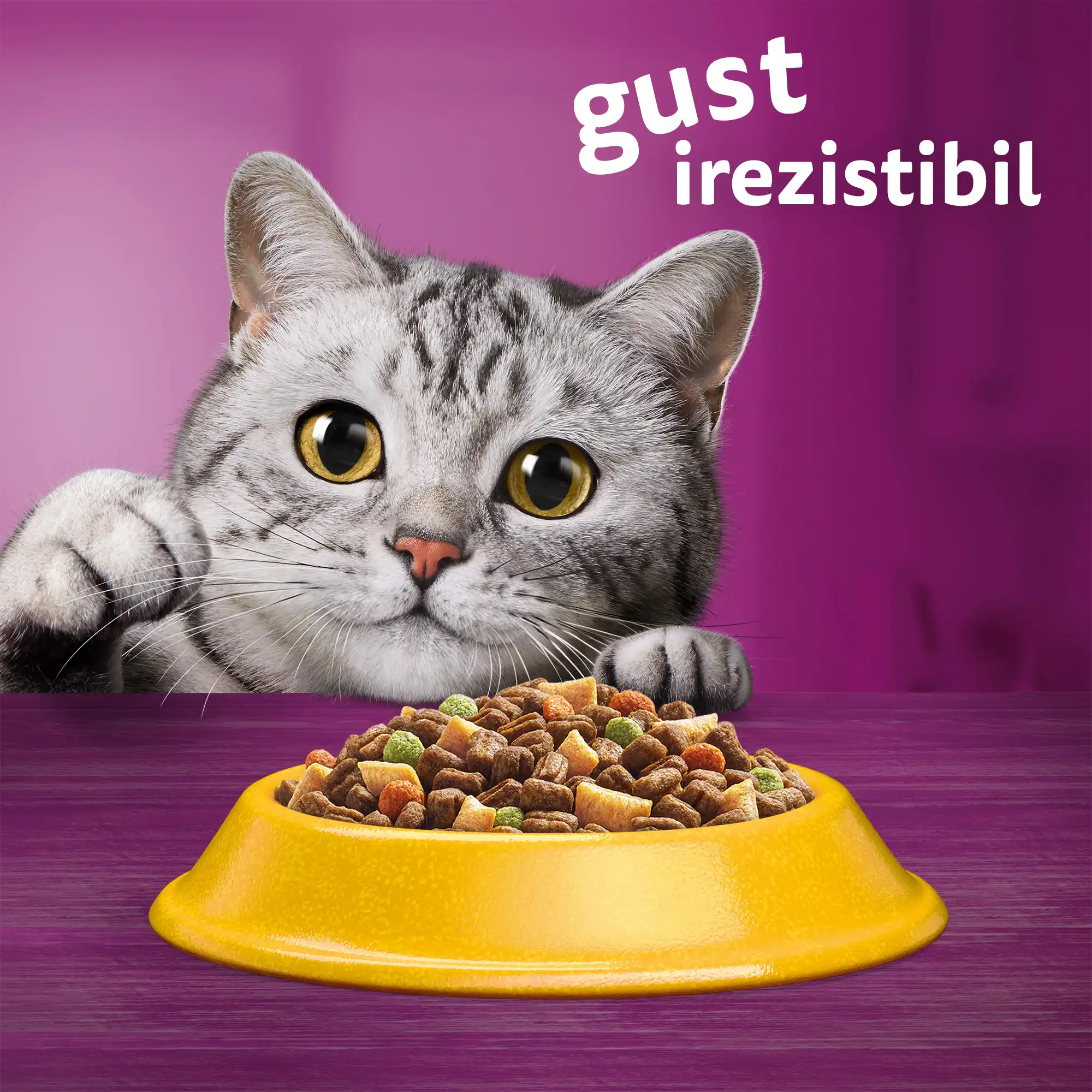 Whiskas Sterile Uscată Pui Pisici Sterilizate 1,4 kg - imagine 4