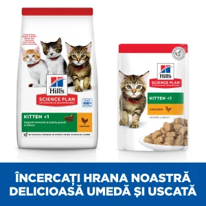Hill's Science Plan Kitten cu Pui Pisici 7kg