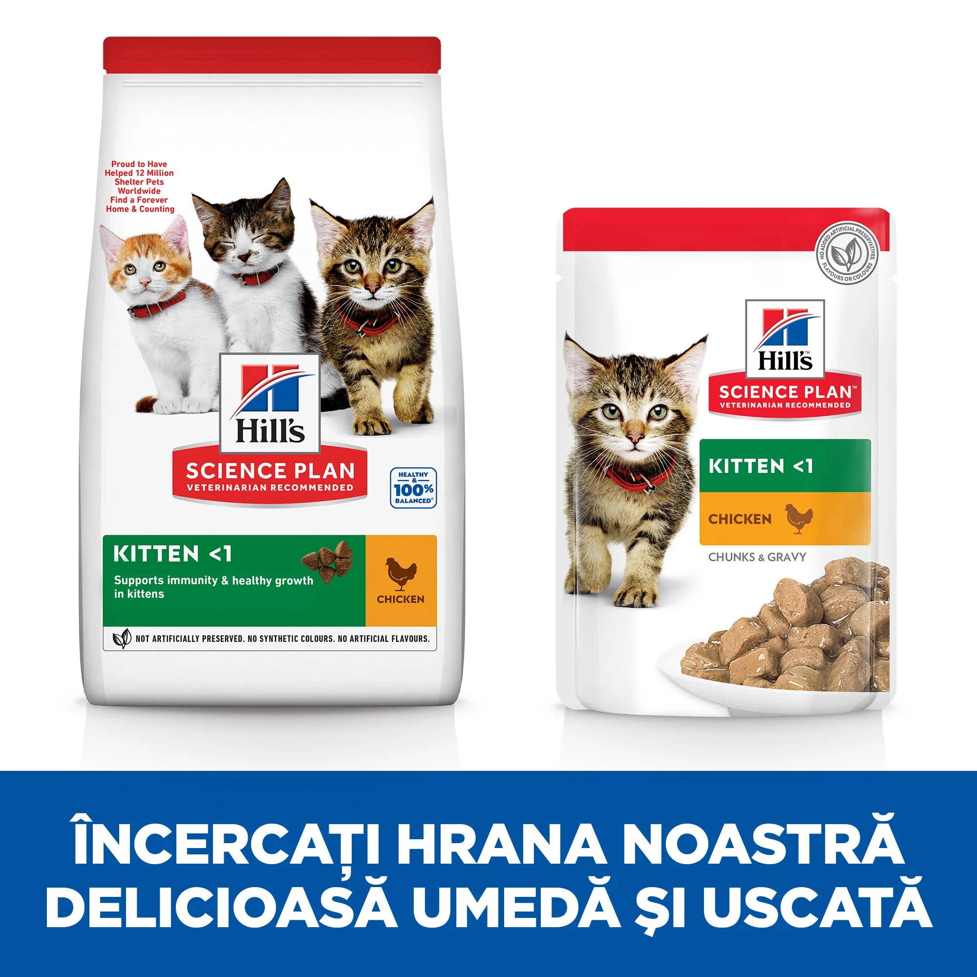 Hill's Science Plan Kitten cu Pui Pisici 7kg