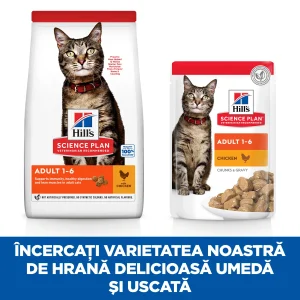 Hill's Science Plan Adult cu Pui Pisici 300g