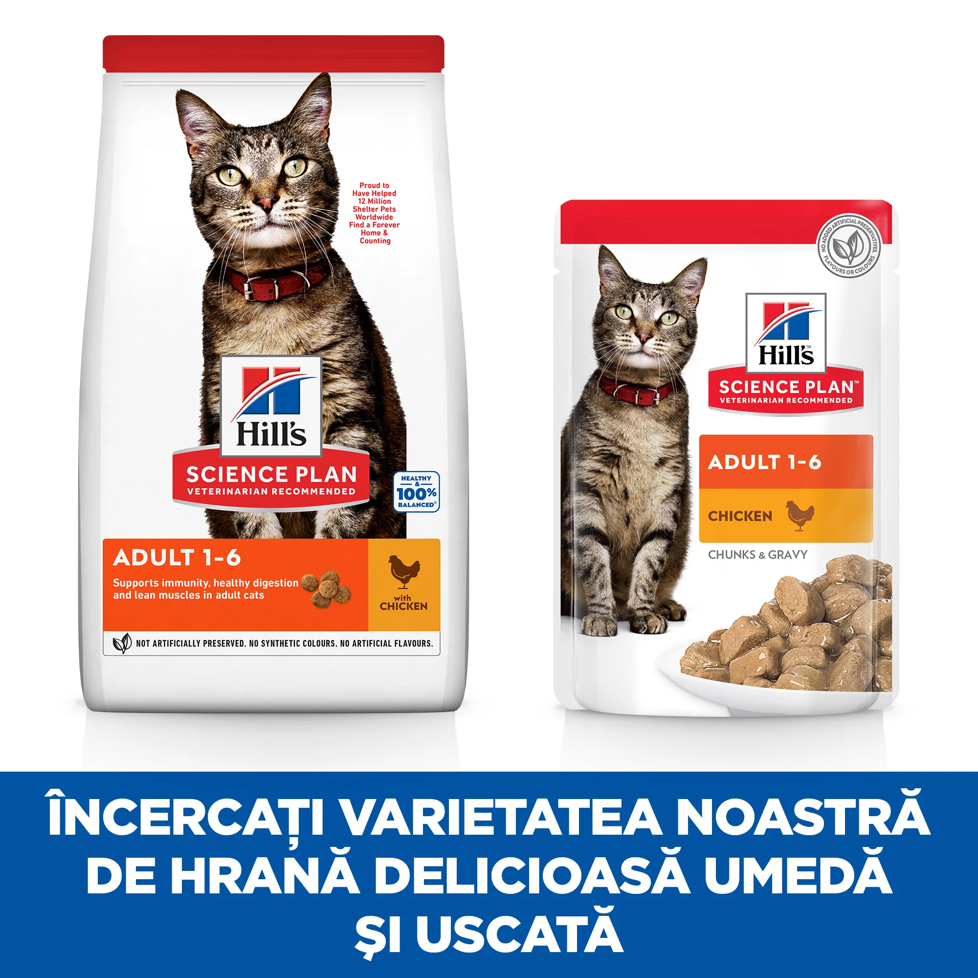 Hill's Science Plan Adult cu Pui Pisici 3kg