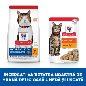 Hill's Science Plan Mature Adult Pisici 300g