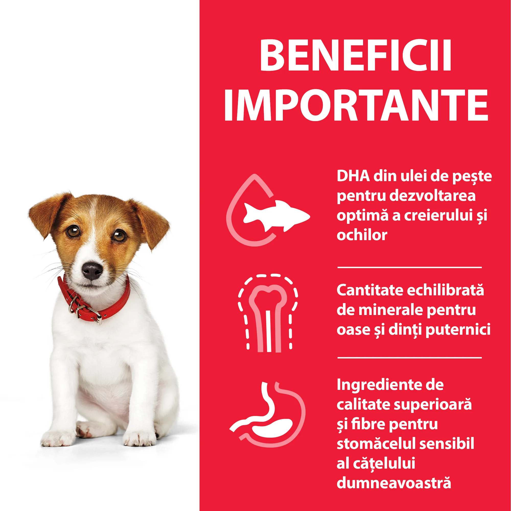 Hill's Science Plan Small & Mini Puppy cu Pui Câini 300g