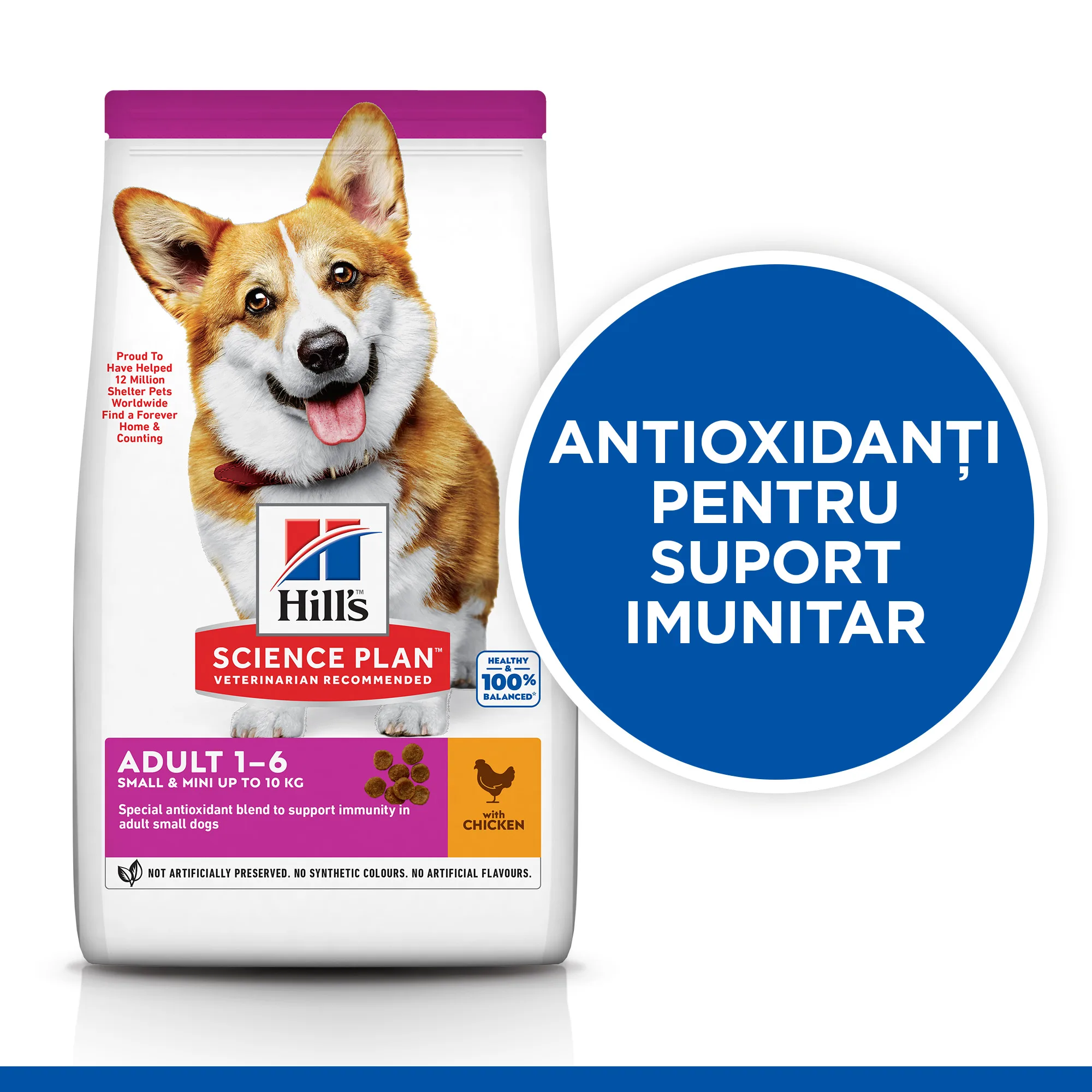 Hill's Science Plan Adult Small&Mini cu Pui Câini 6kg