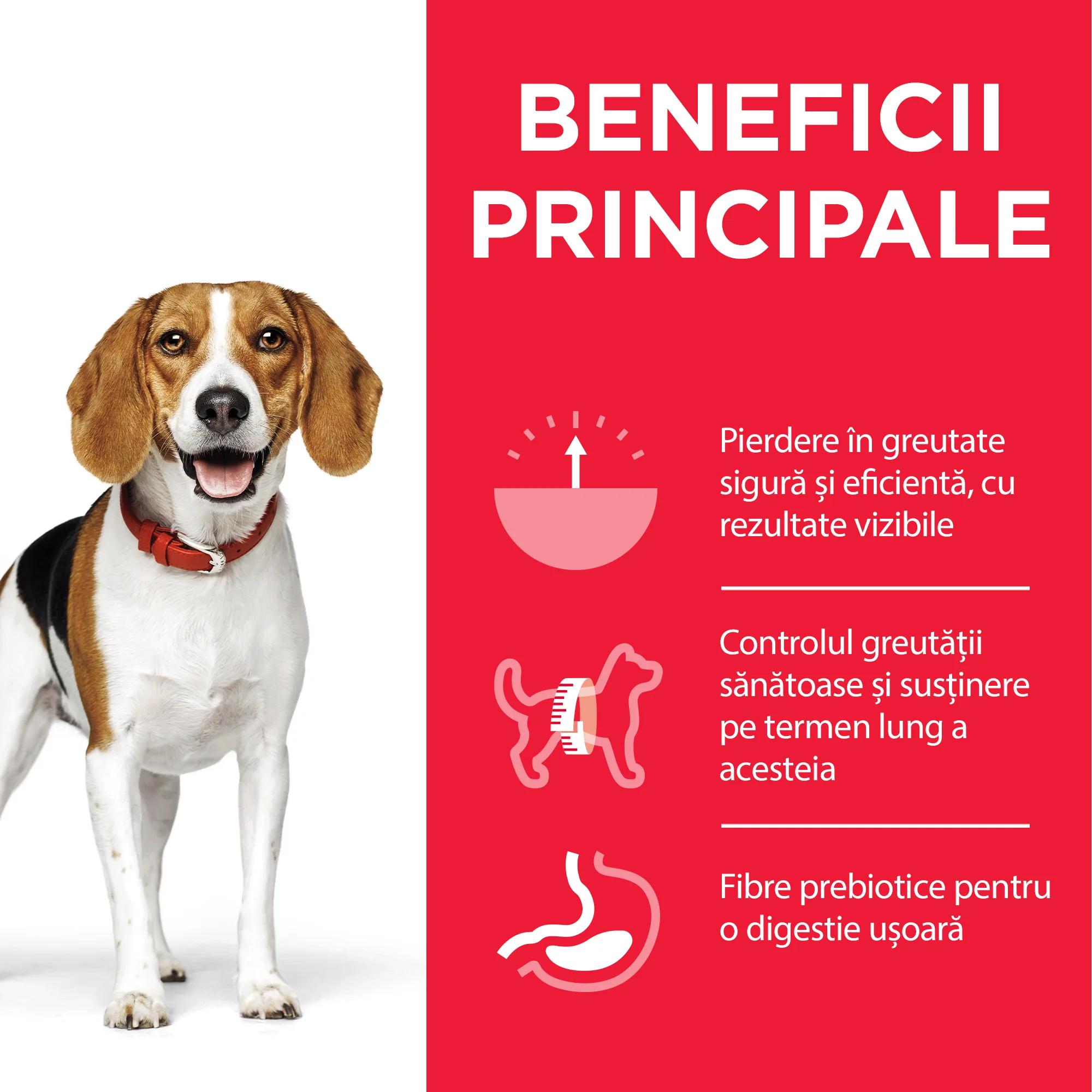 Hill's Science Plan Adult Perfect Weight Medium Breed Câini 12kg