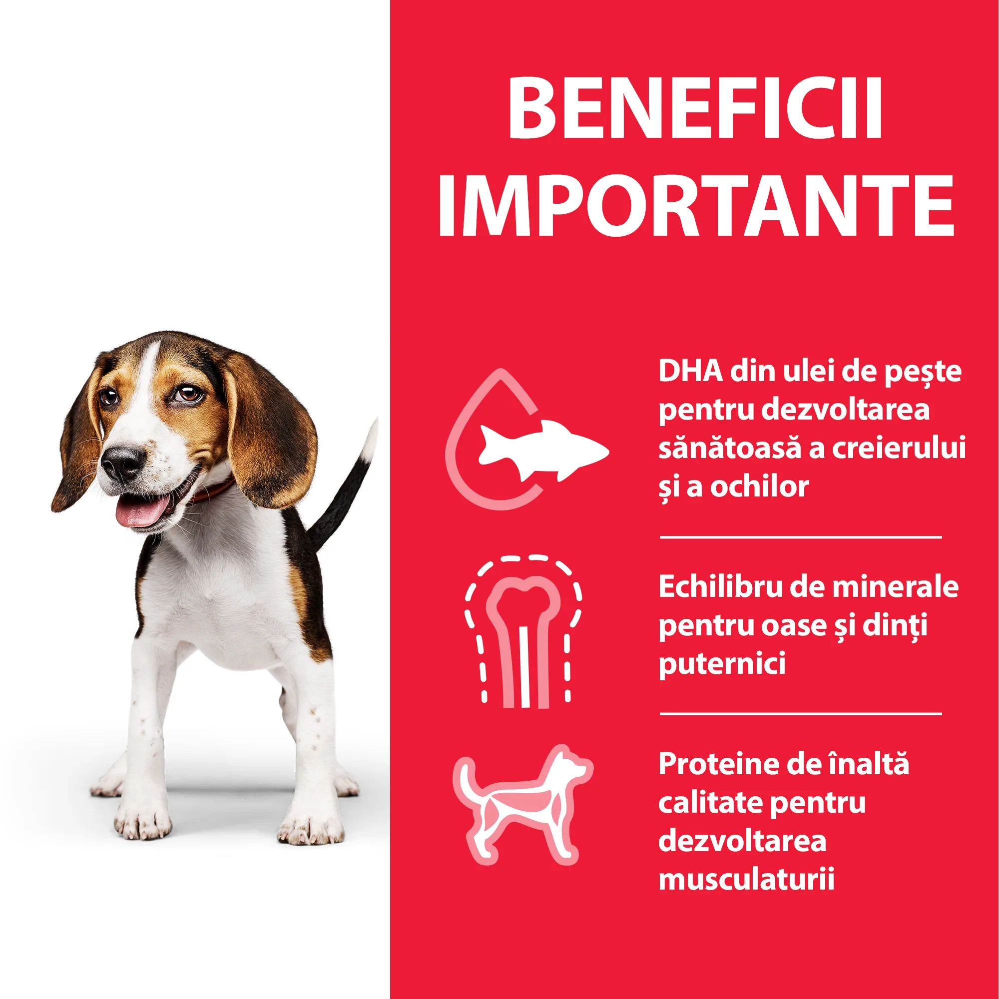 Hill's Science Plan Puppy Medium cu Pui Câini 14kg