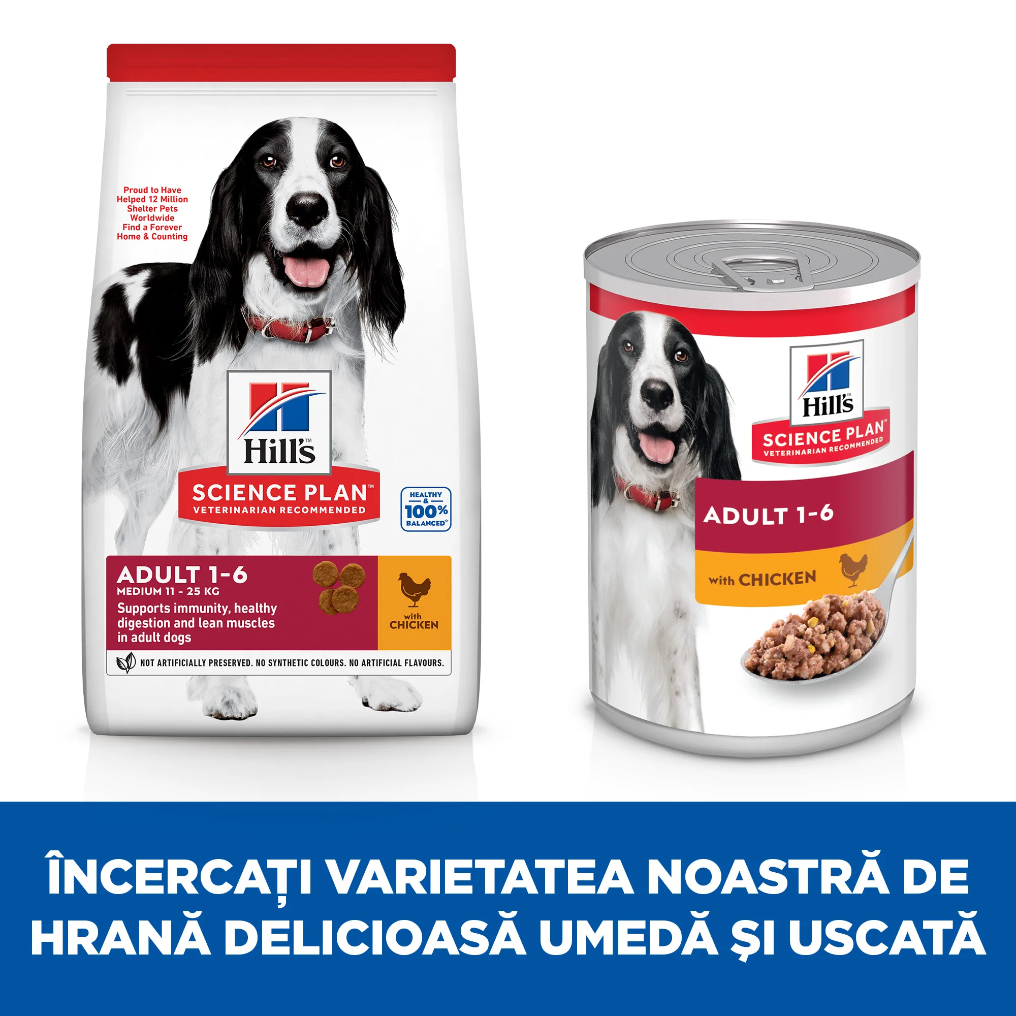 Hill's Science Plan Adult Medium cu Pui Câini 14kg