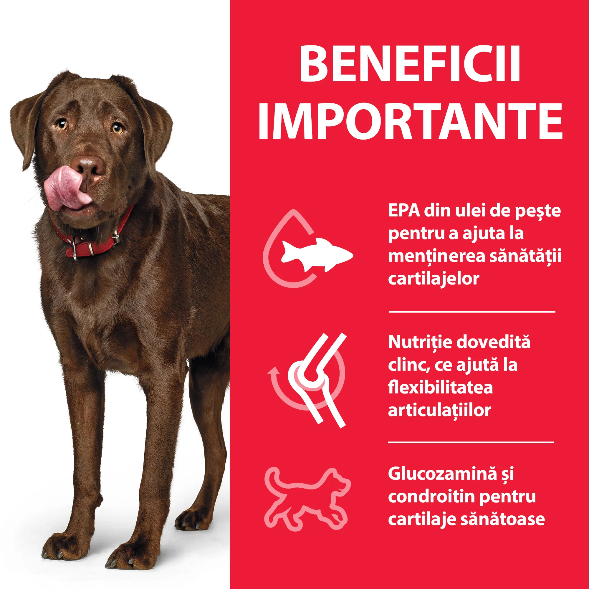 Hill's Science Plan Adult Healthy Mobility Large Breed Câini 14kg