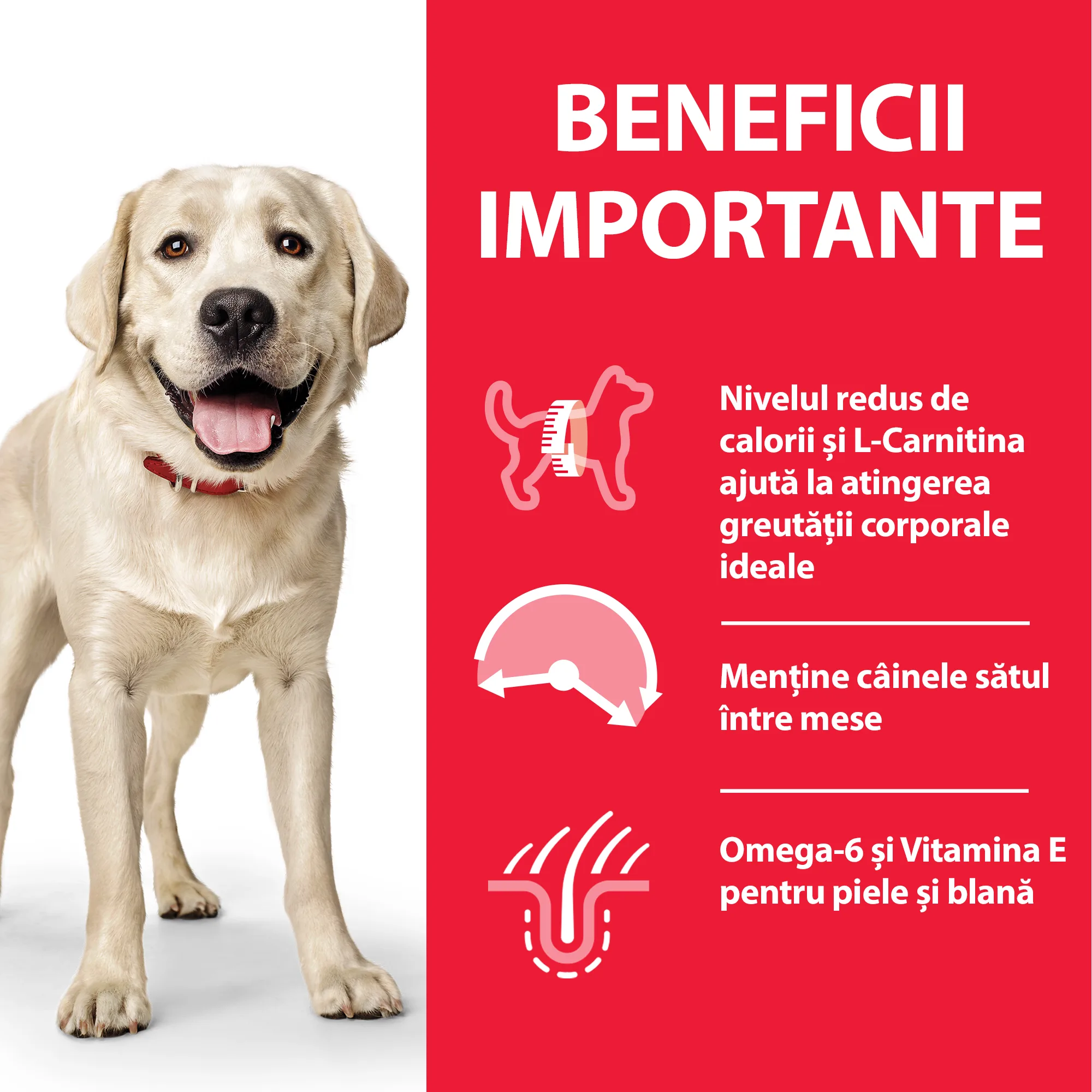 Hill's Science Plan Adult Light Large Breed Câini 14kg
