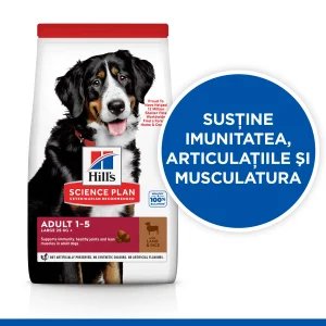 Hill's Science Plan Adult Large Breed cu Miel Câini 14kg