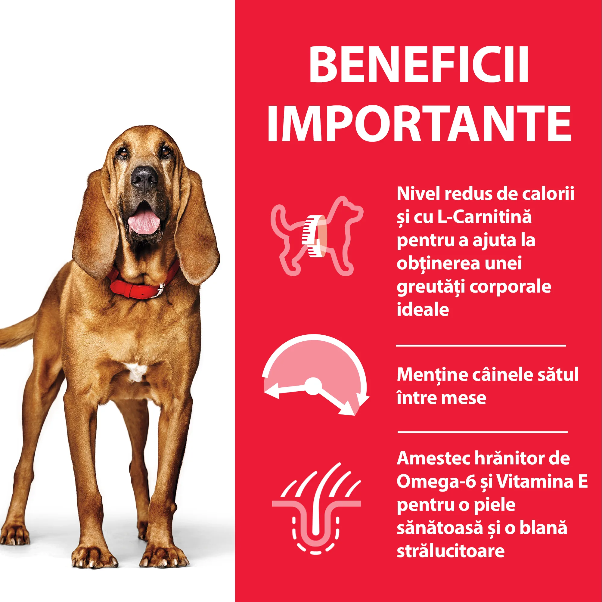Hill's Science Plan Adult Mature Light Medium cu Pui Câini 14kg