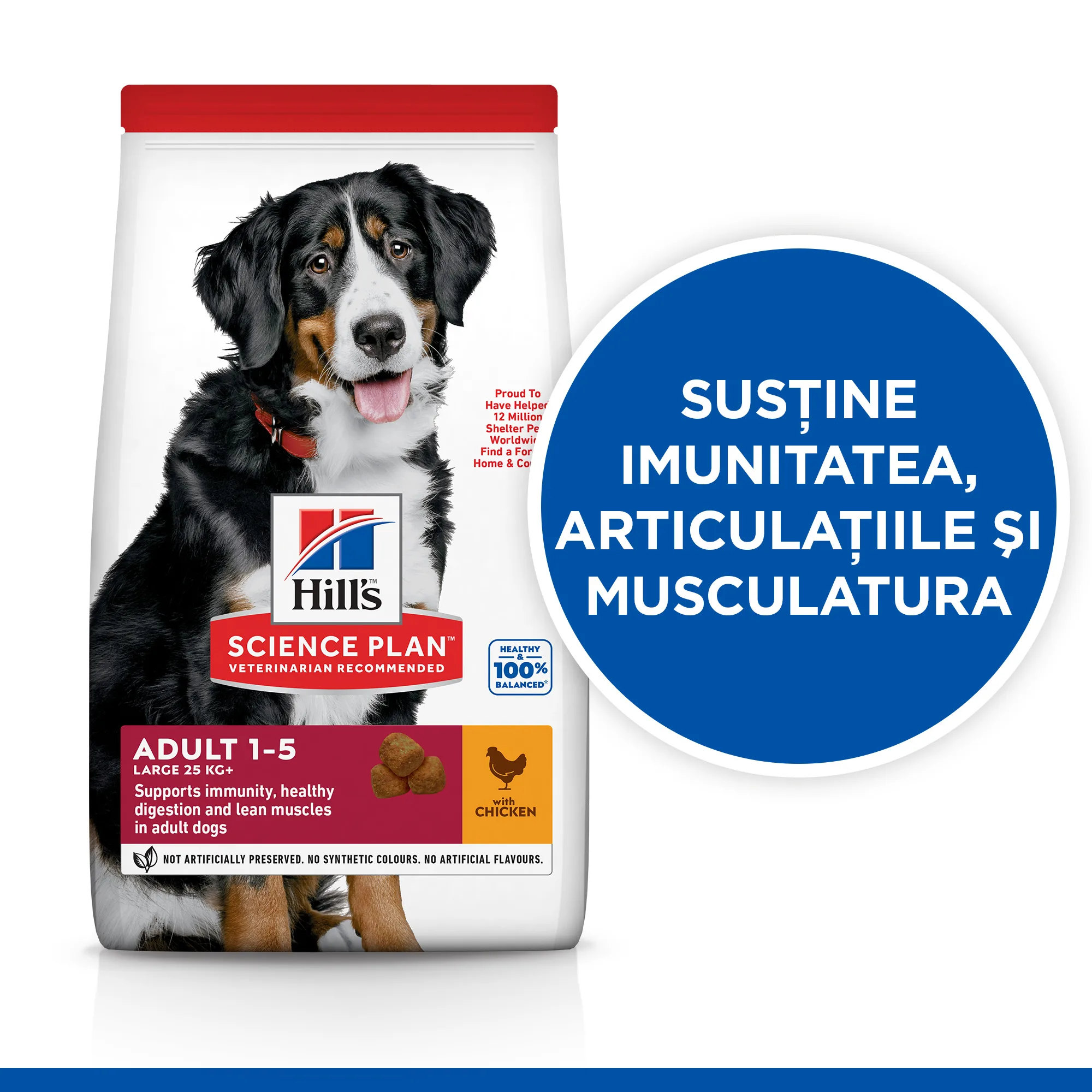 Hill's Science Plan Adult Large Breed cu Pui Câini 14kg