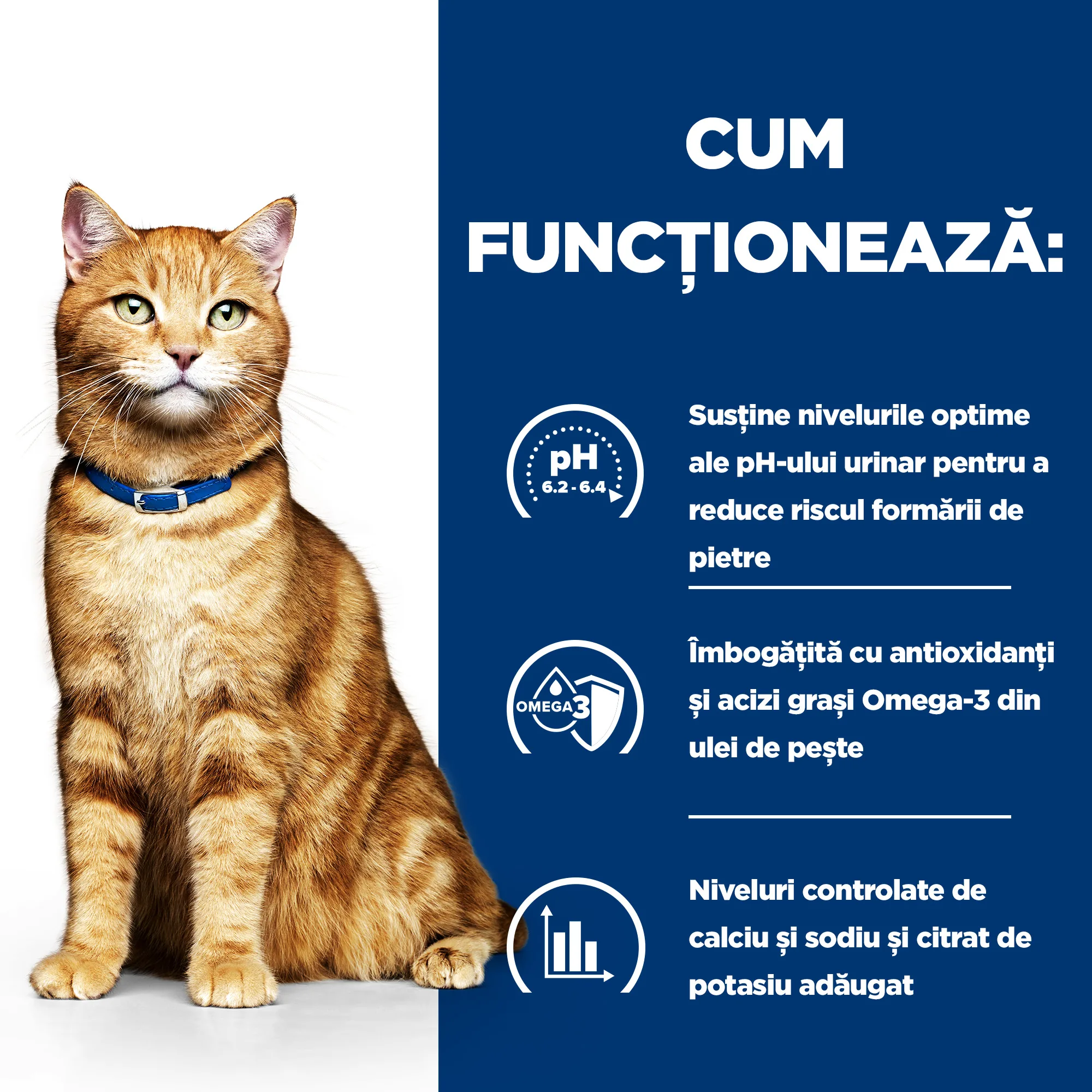 Hill's Prescription Diet C/D Multicare cu Pui Pisici 156g