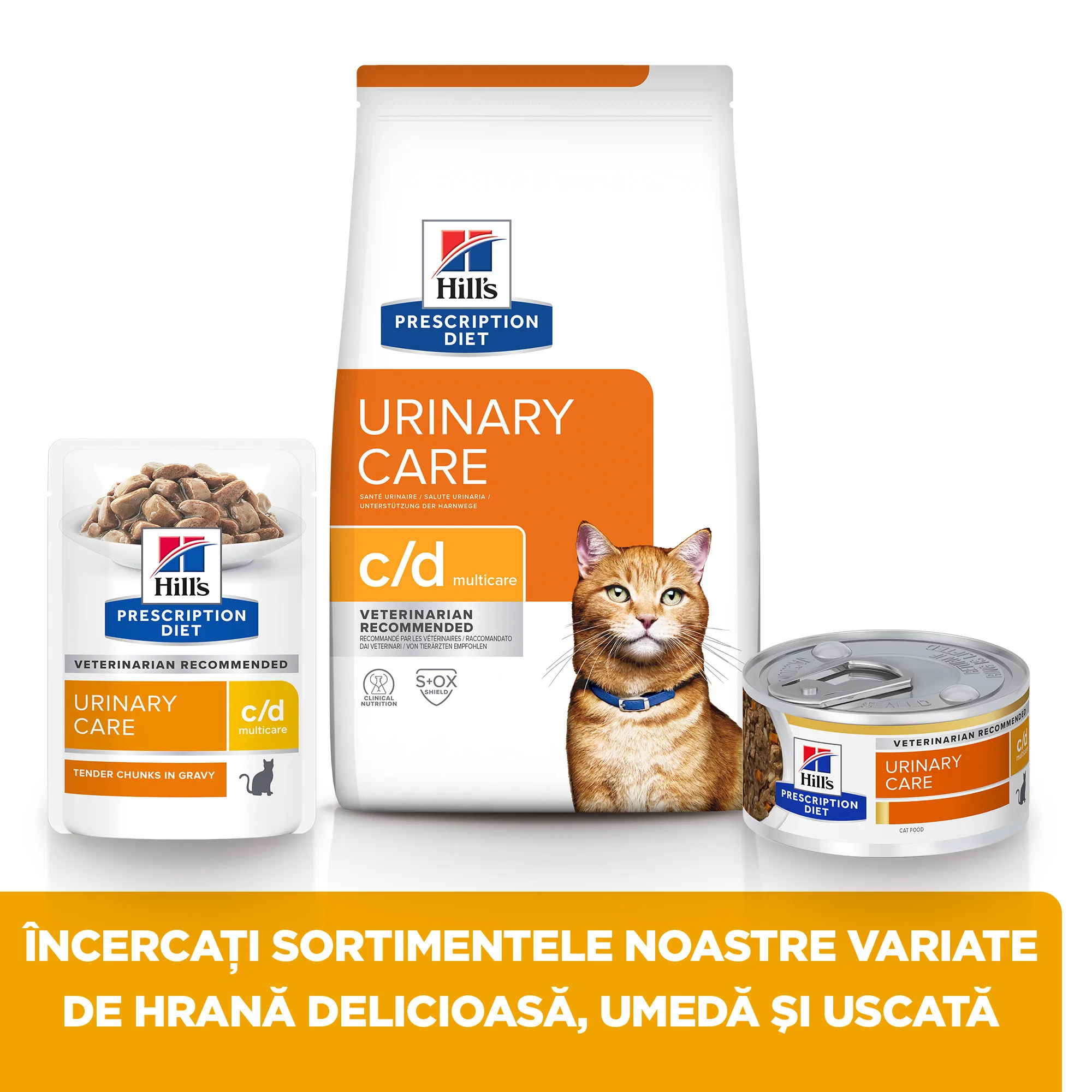 Hill's Prescription Diet C/D Multicare cu Pui Pisici 156g