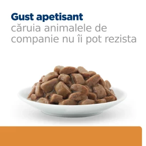 Hill's Prescription Diet K/D cu Pui Pisici 1.02kg