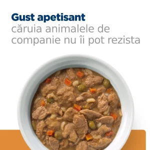 Hill's Prescription Diet KD Tocăniță cu Pui și Legume Adăugate Câini 354g
