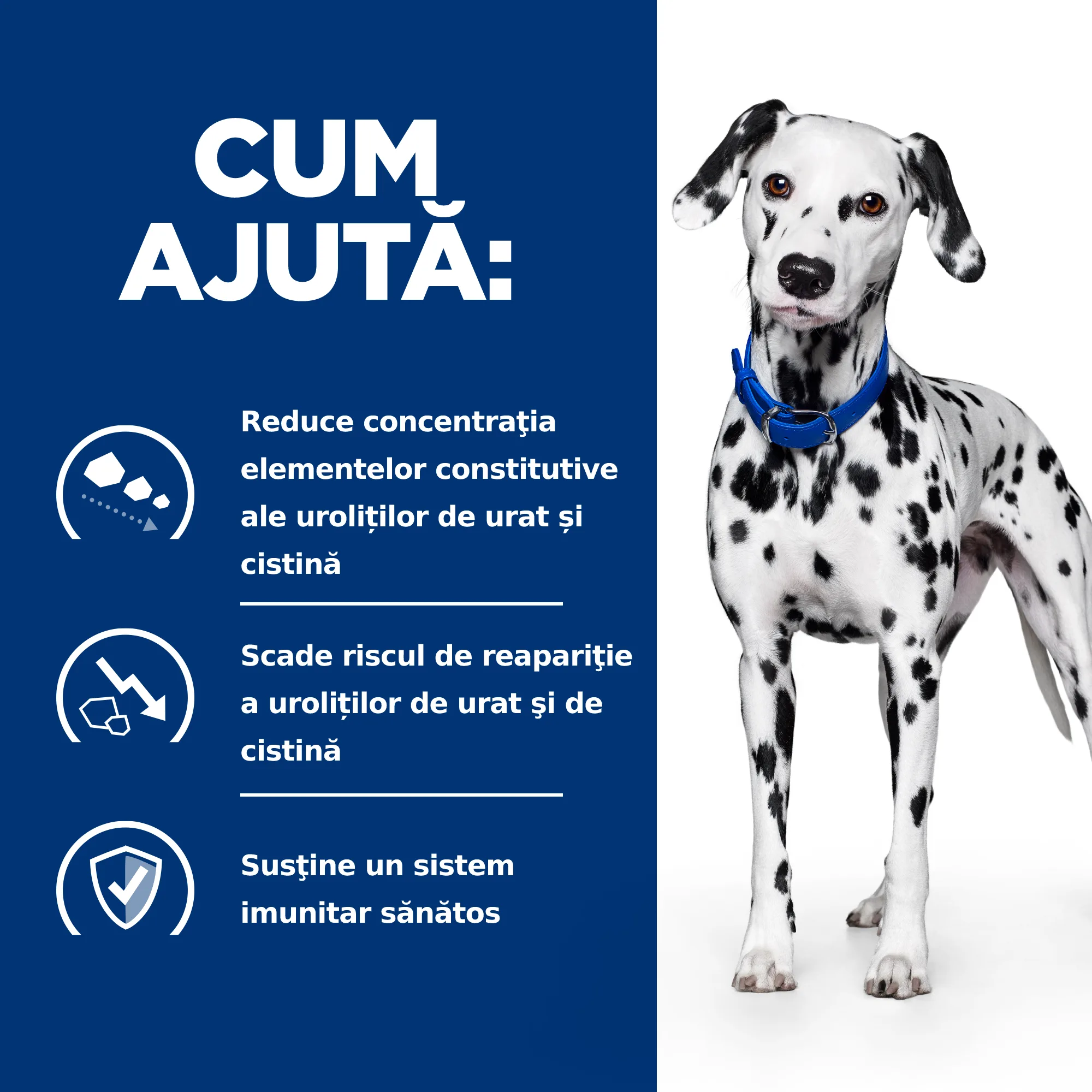Hill's Prescription Diet U/D Câini 10kg